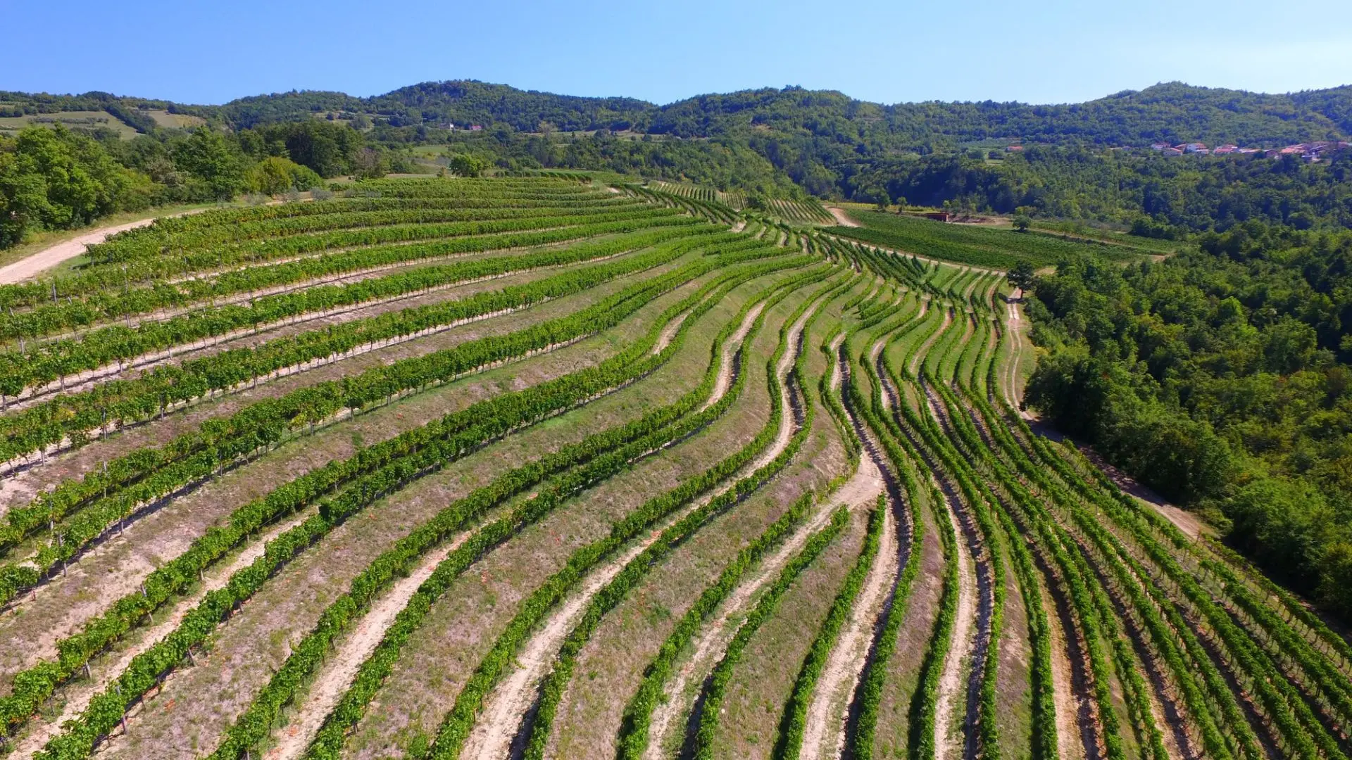 Matošević Matošević