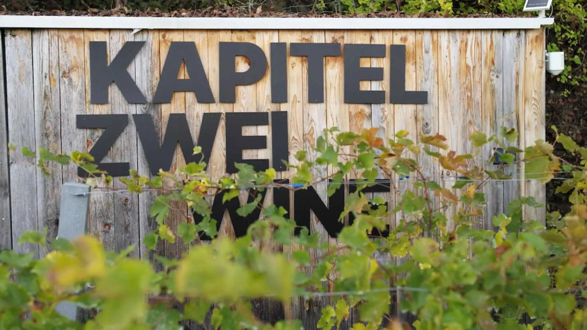 Kapitel Zwei Kapitel Zwei