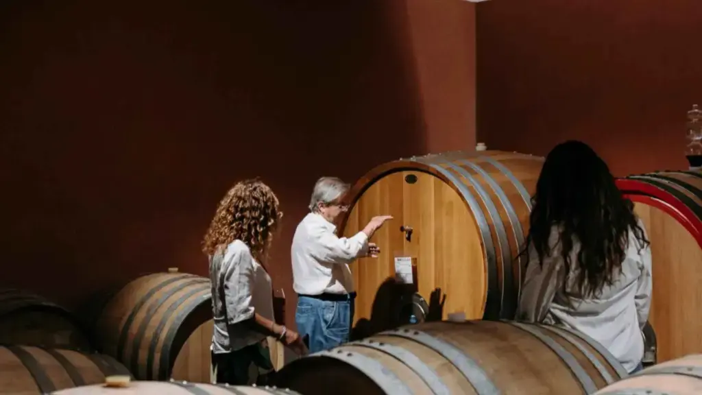 Visit & Tasting on the Volcanic Slopes near Catania 