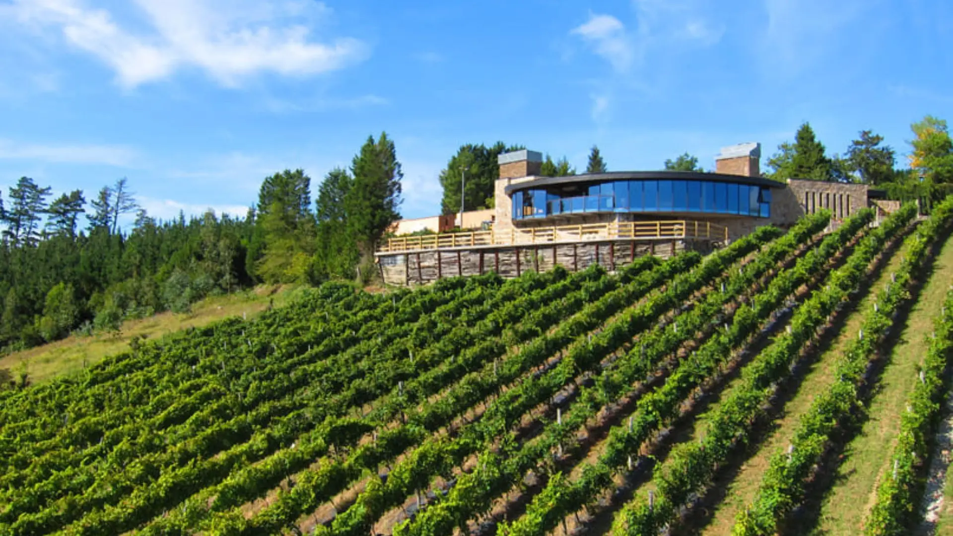 Bodega Berroja Bodega Berroja