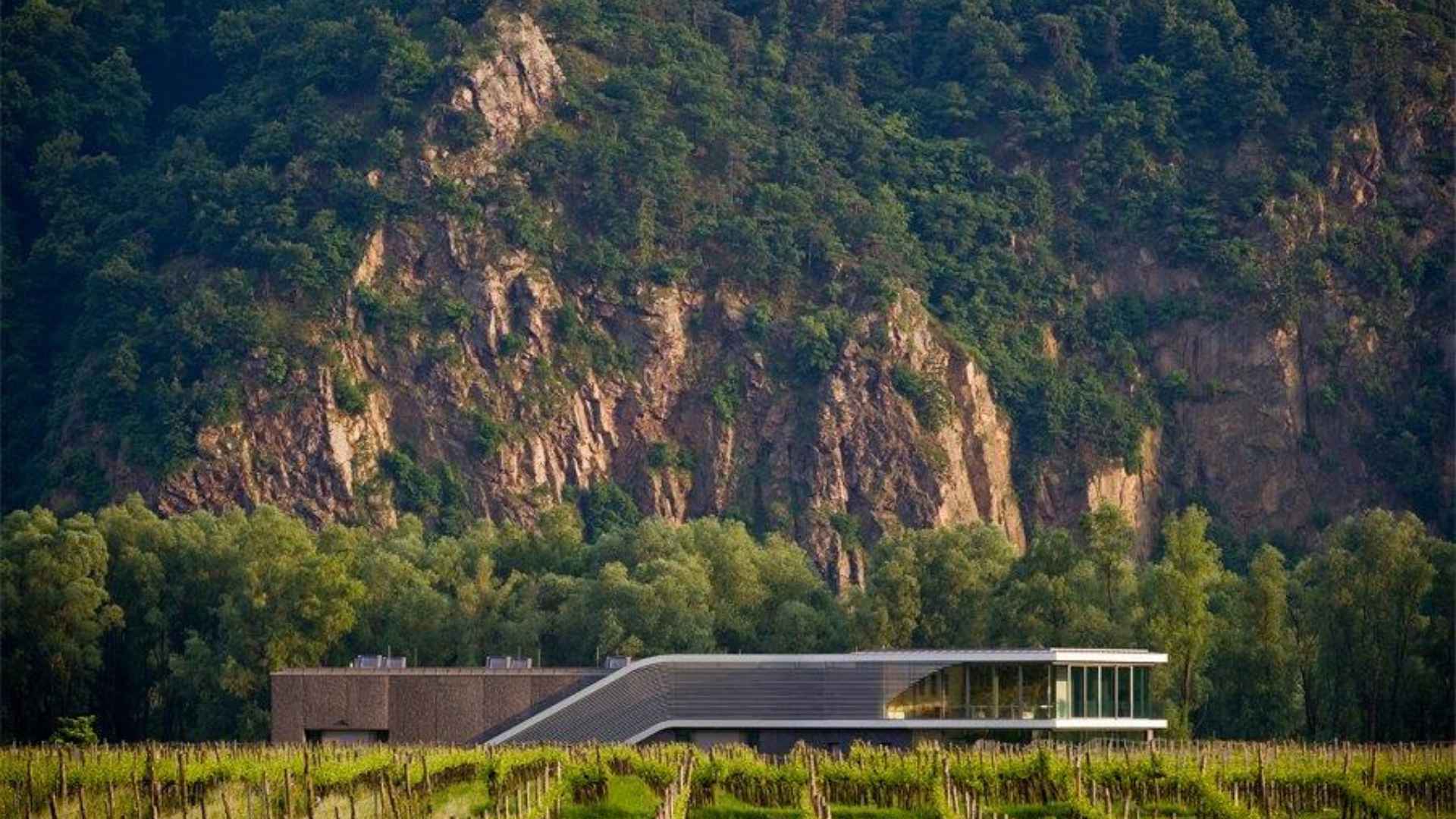 Weingut FX Pichler Weingut FX Pichler