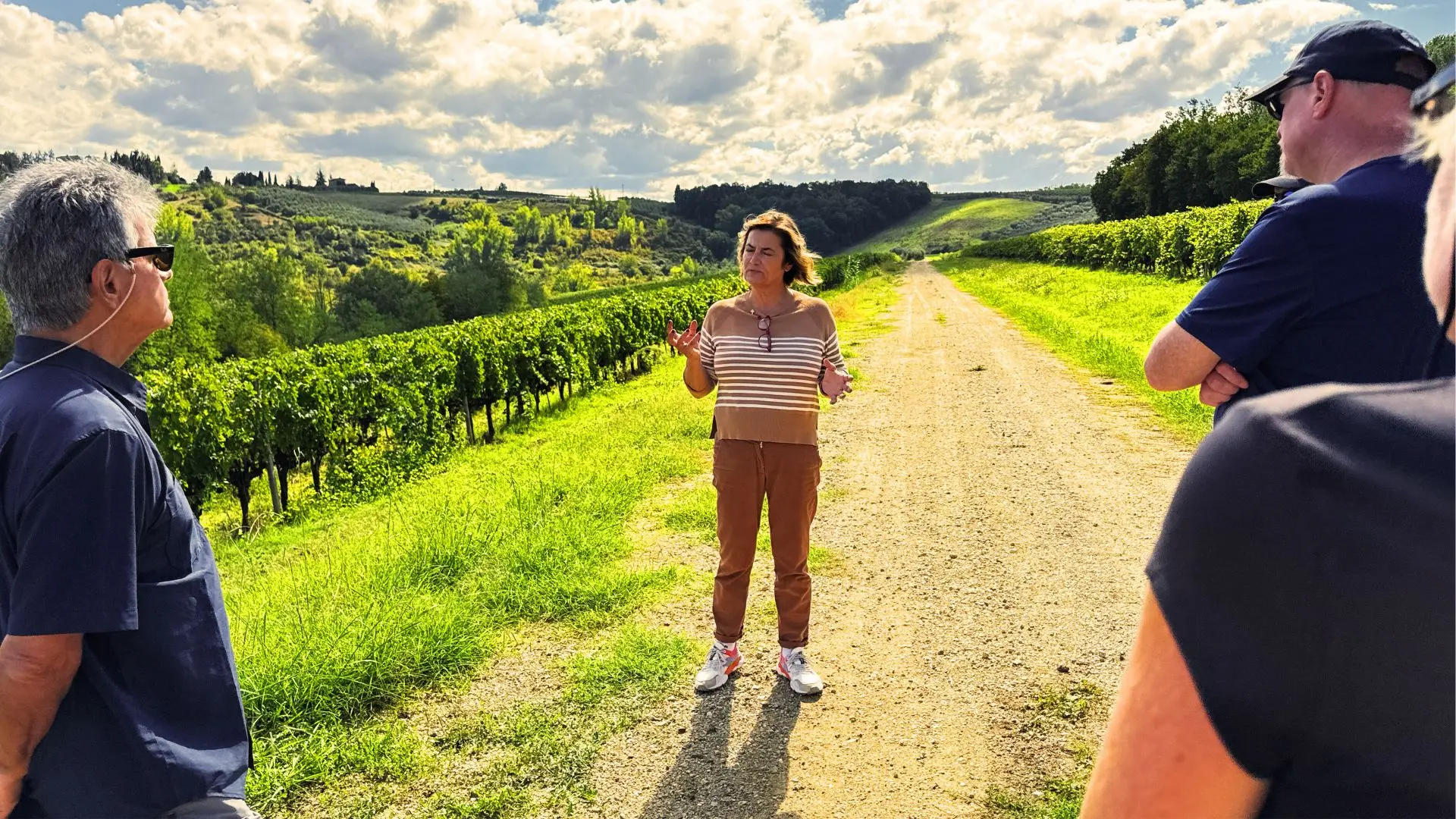 A typical wine tour and tasting at the Poderi Arcangleo winery in San Gimignano, Tuscany. A couple of people are lisetening to a guide on a path between the vineyards. It's late afternoon and the green grass has that almost sunset-yellow tint.