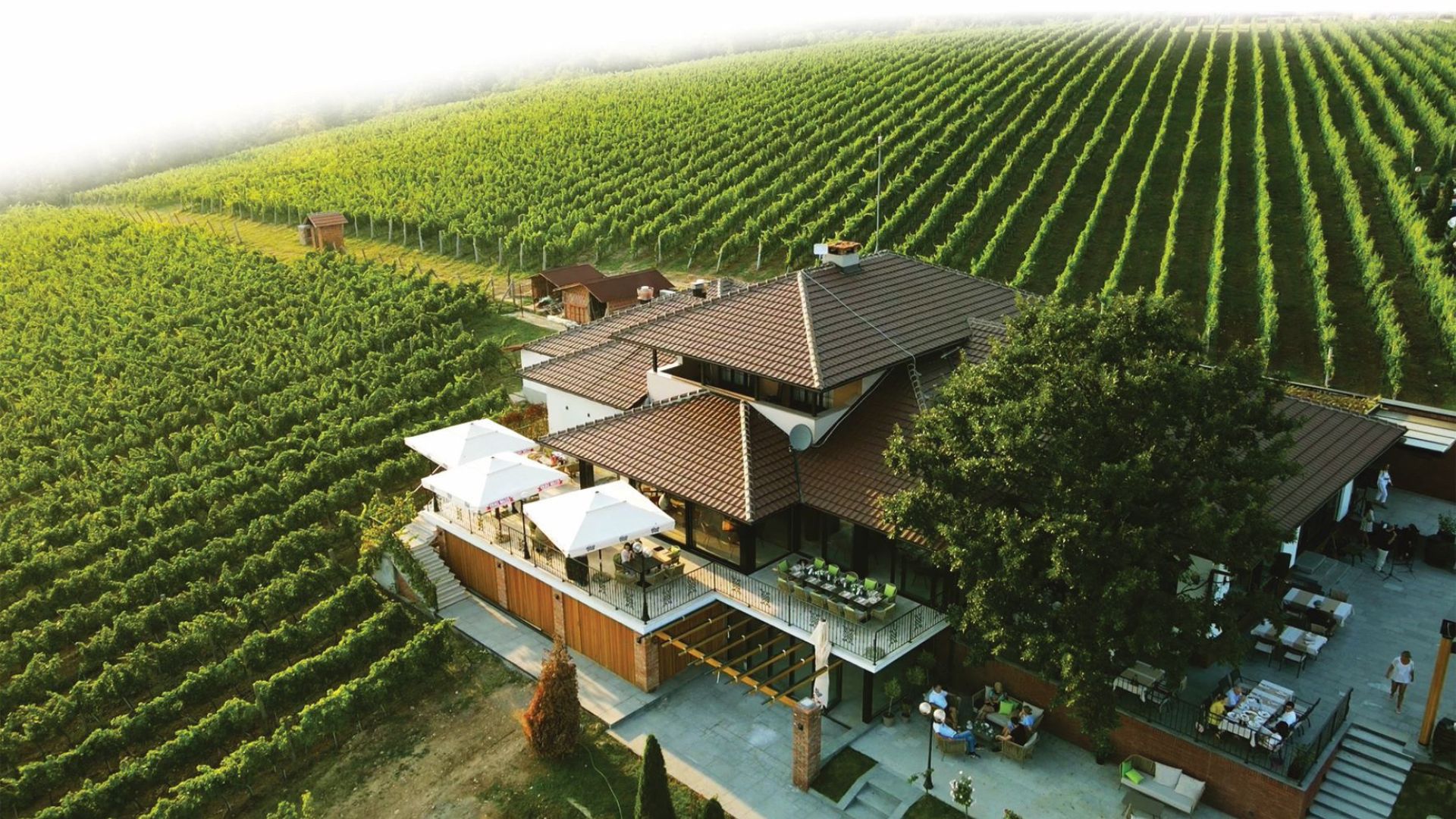 The Tarpos winery in Sumadija. the image shows a modern house, sourrounded by vineyards. The image is taken from above.