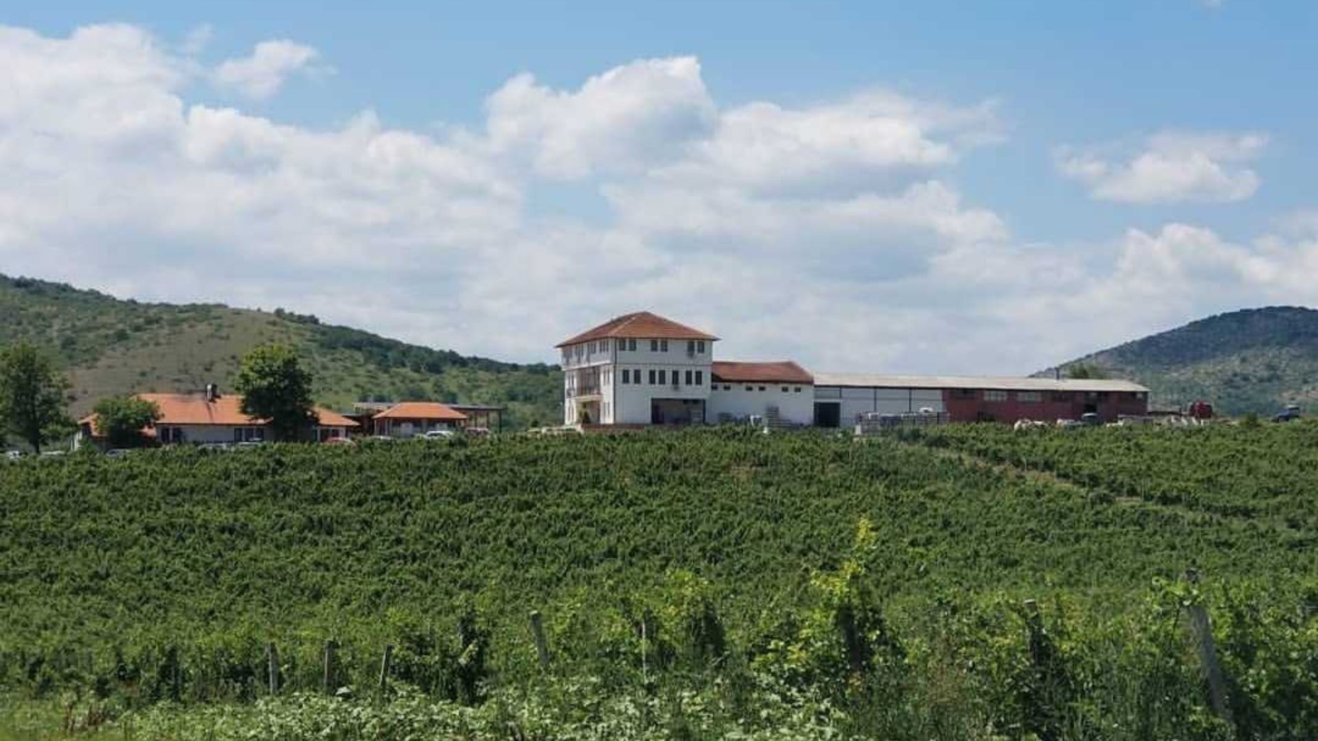 Chateau Sopot Winery