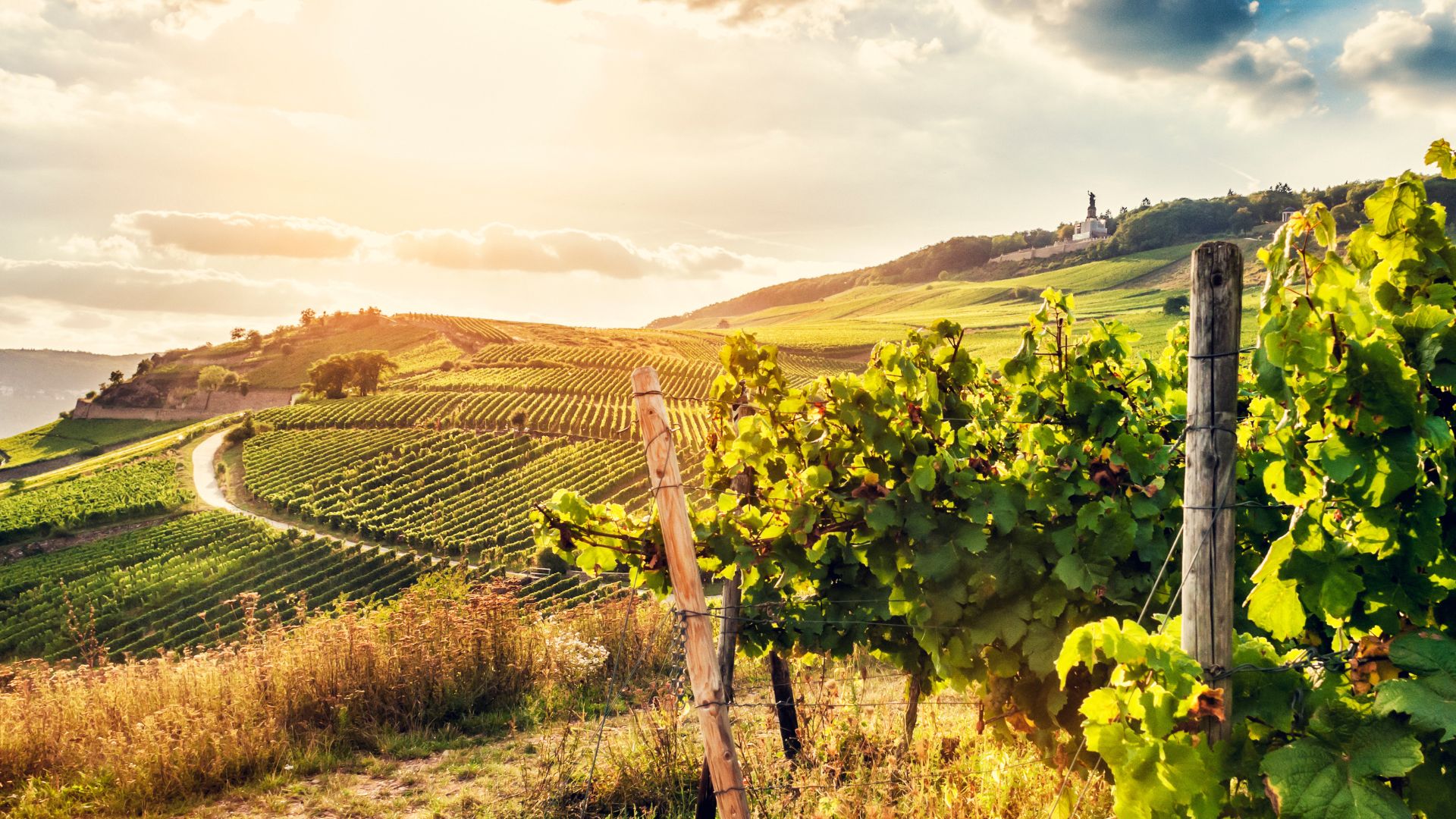 Rheingau