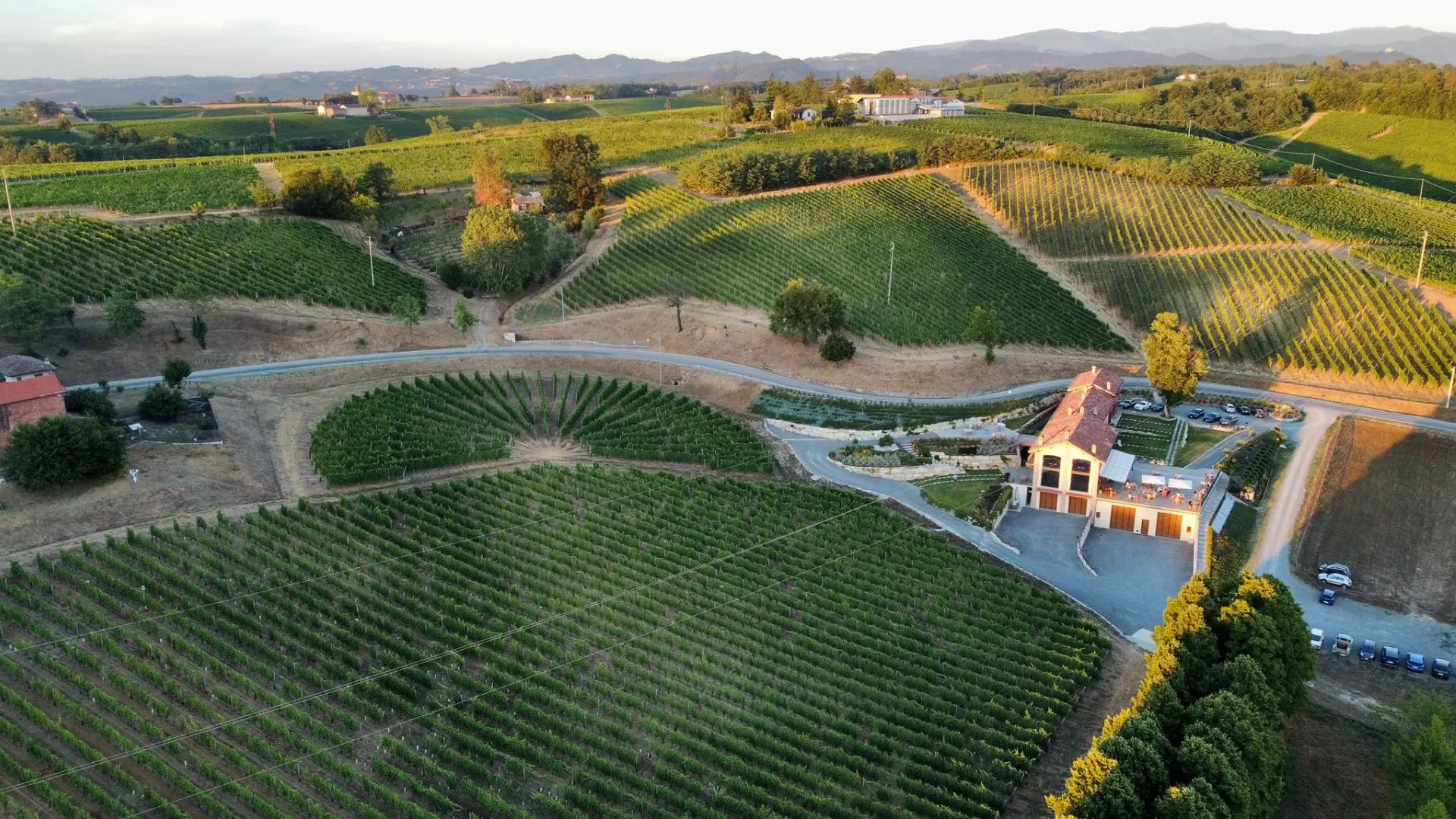 Bine winery and vineyards. The vineyards are huge and all over. Some even take a circular shape.