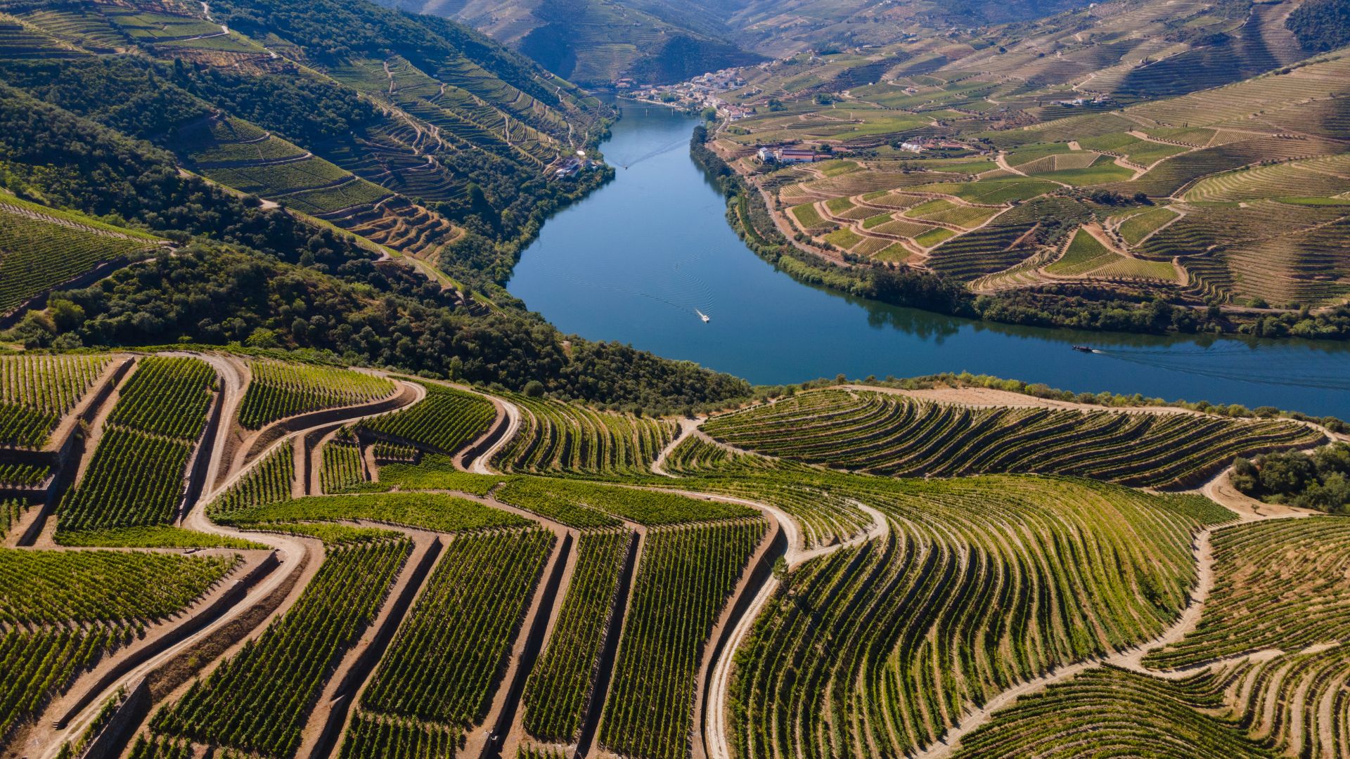 Portugal: The Douro Valley Beyond Port