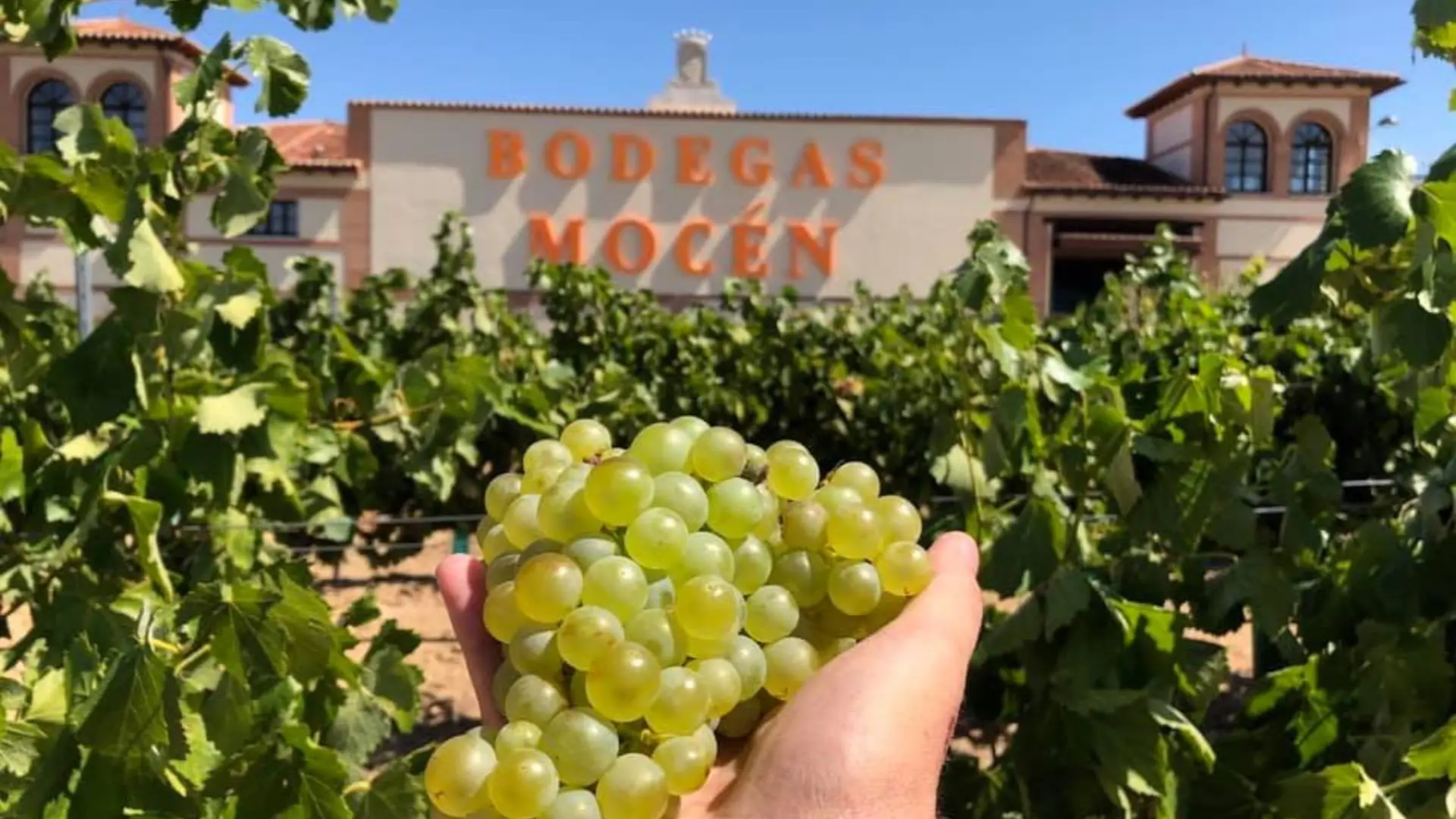 Spain Bodegas Mocen Bodegas Mocen