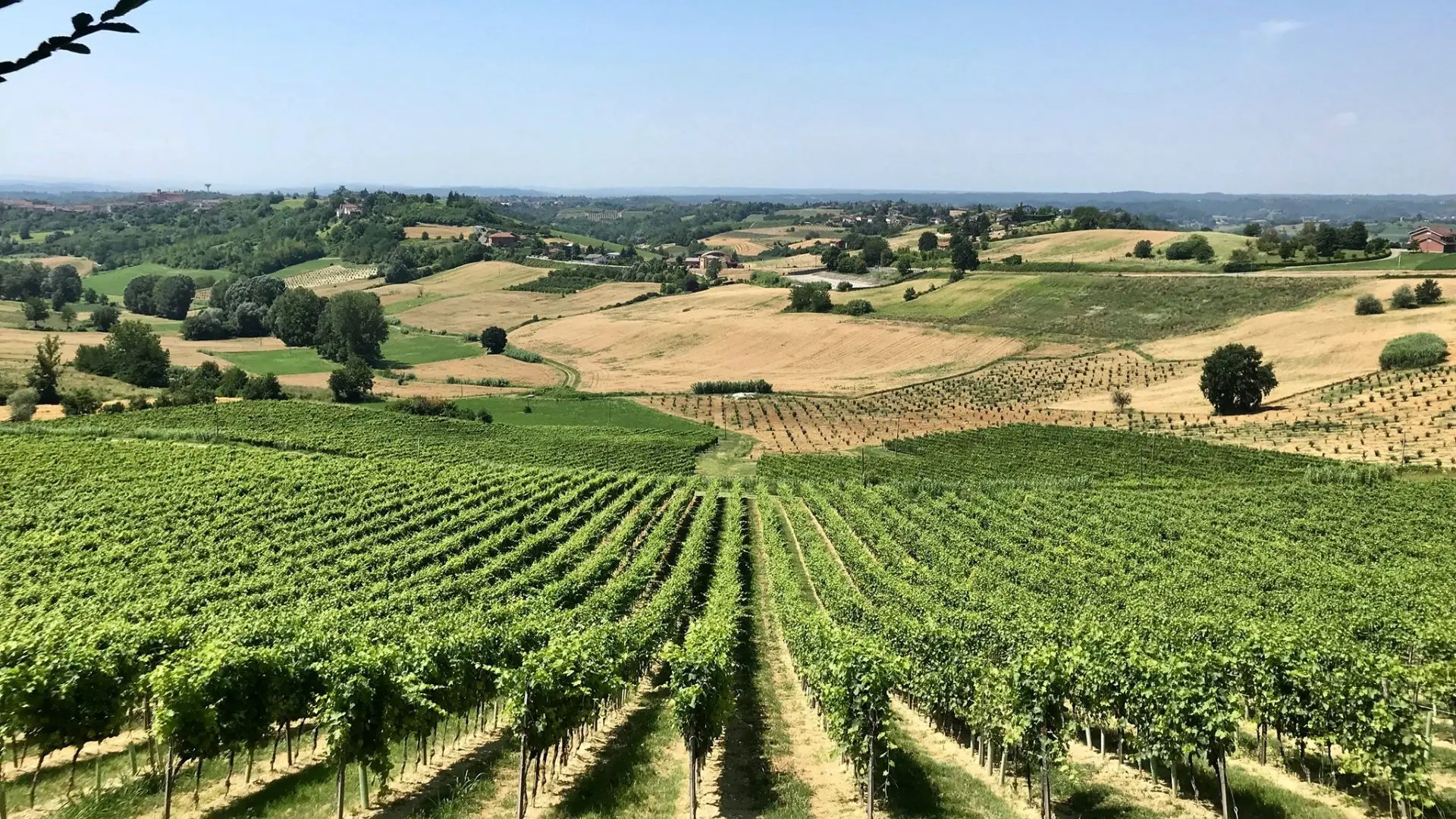 Piedmont Bersano Bersano