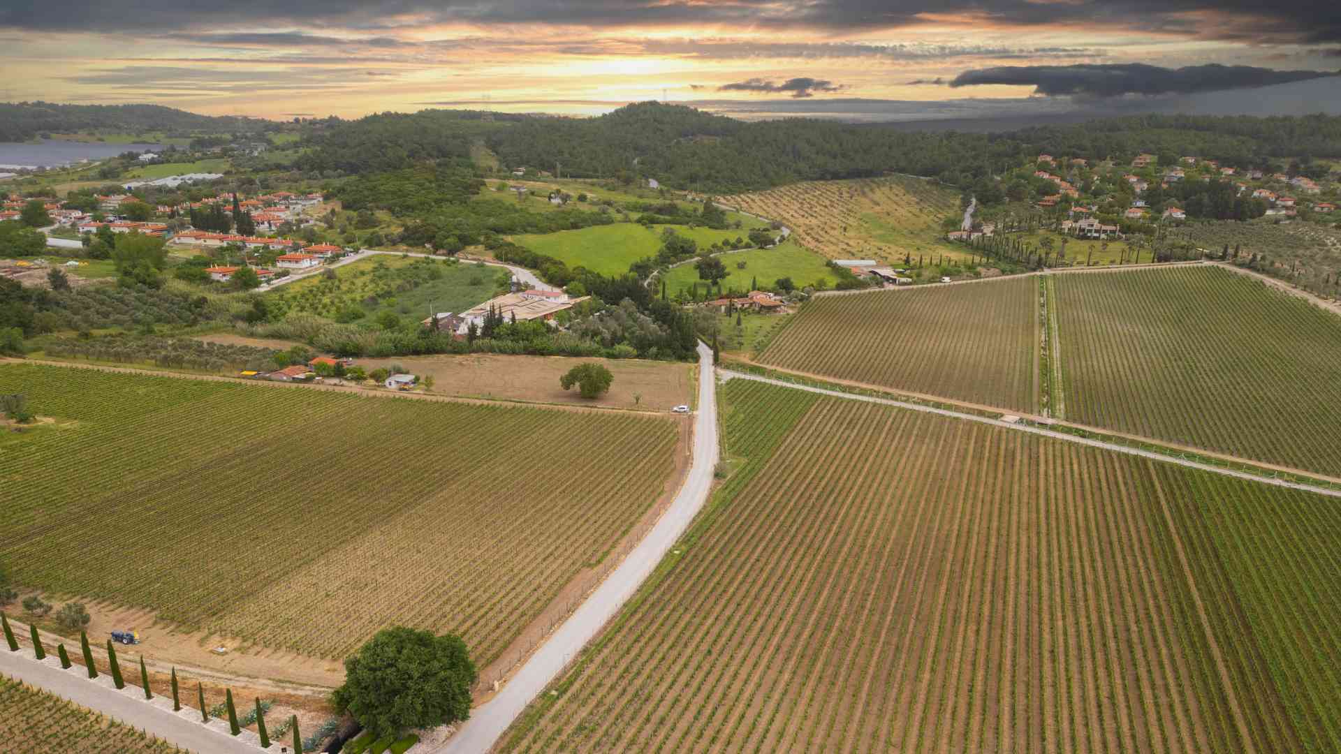 Turkey: The Ancient Wine Route