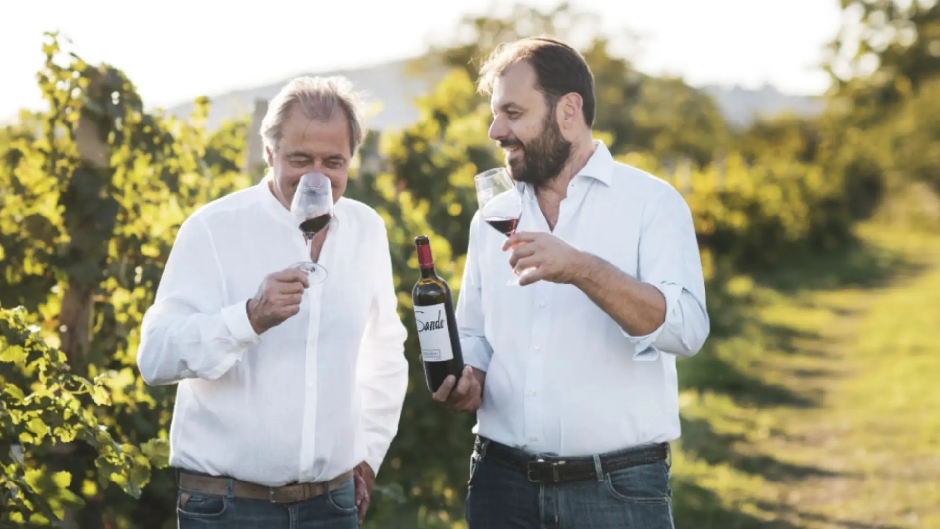 Vini Fasoli Gino