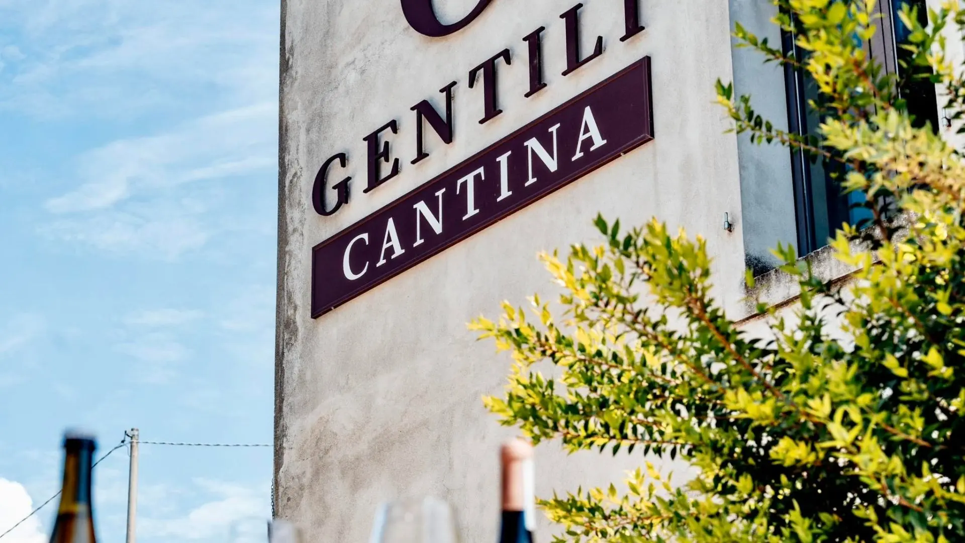 Italy, Veneto, Gentili Azienda Agricola Italy, Veneto, Gentili Azienda Agricola