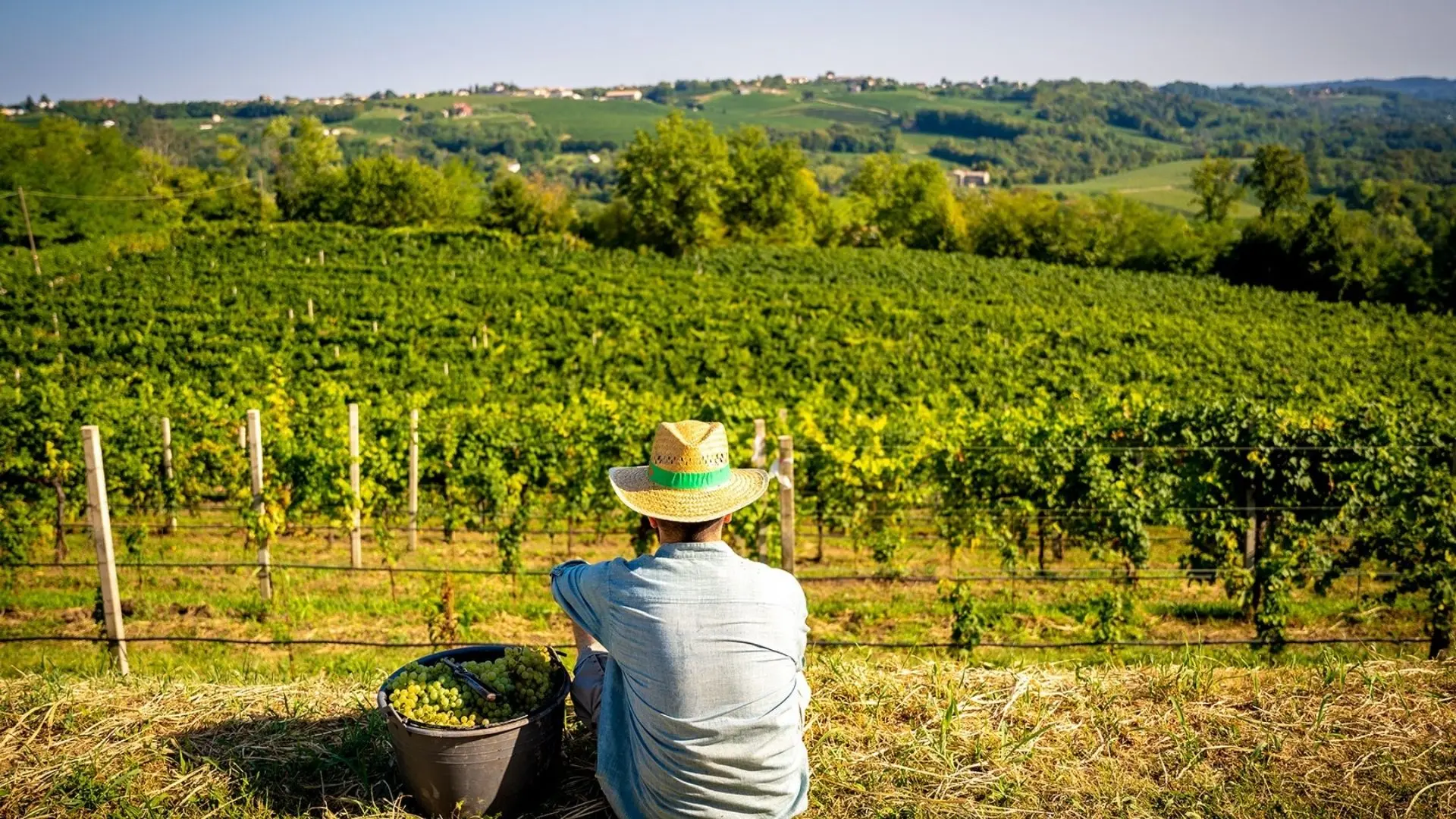 Perlage Winery