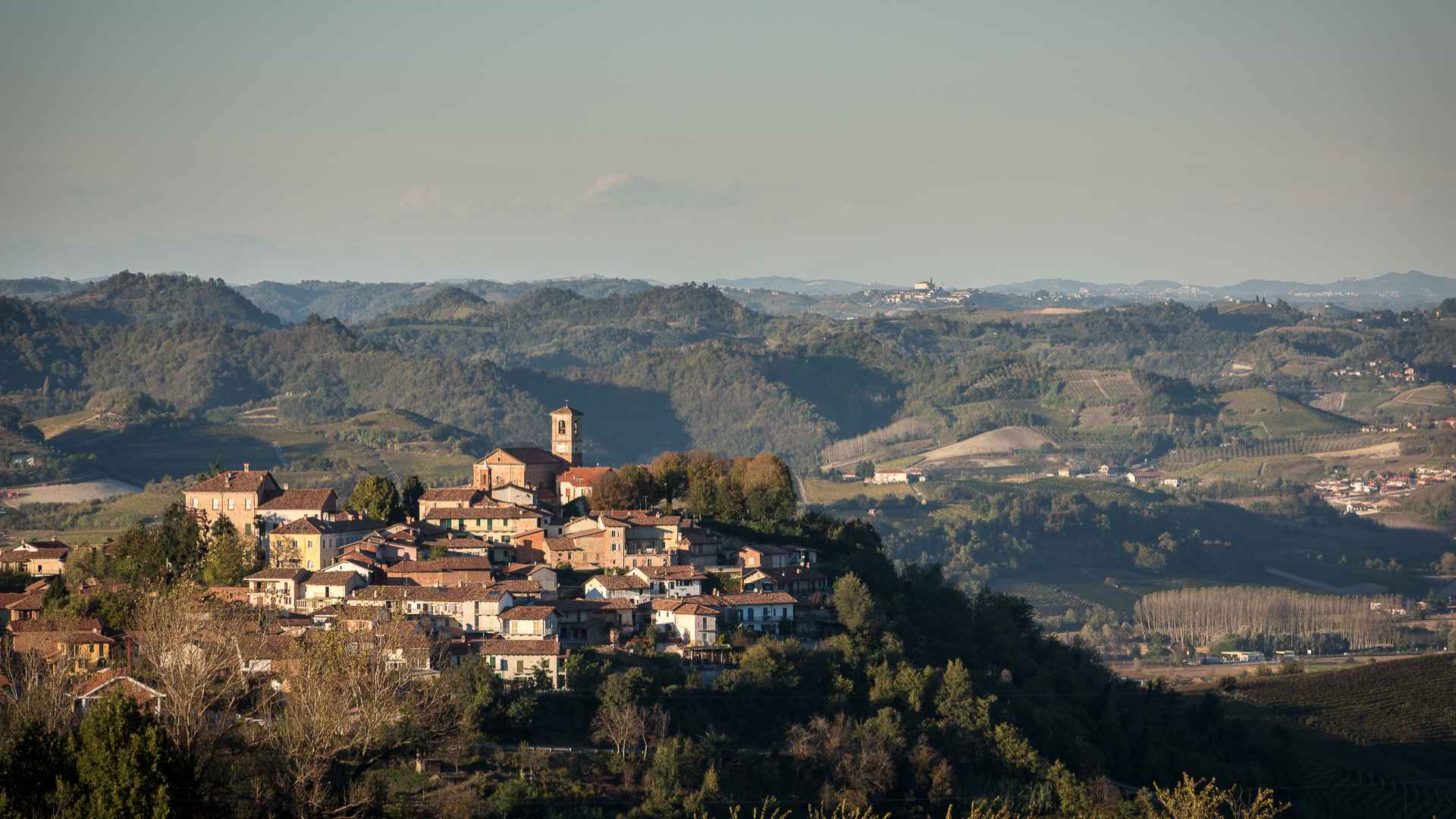 Azienda Agricola Diego Morra
