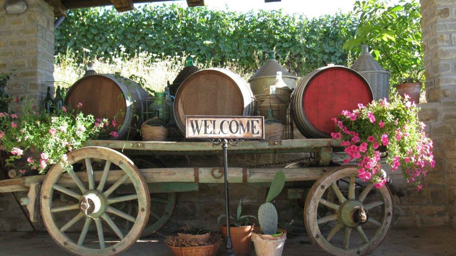 Sessanea - Azienda Vitivinicola Giulia