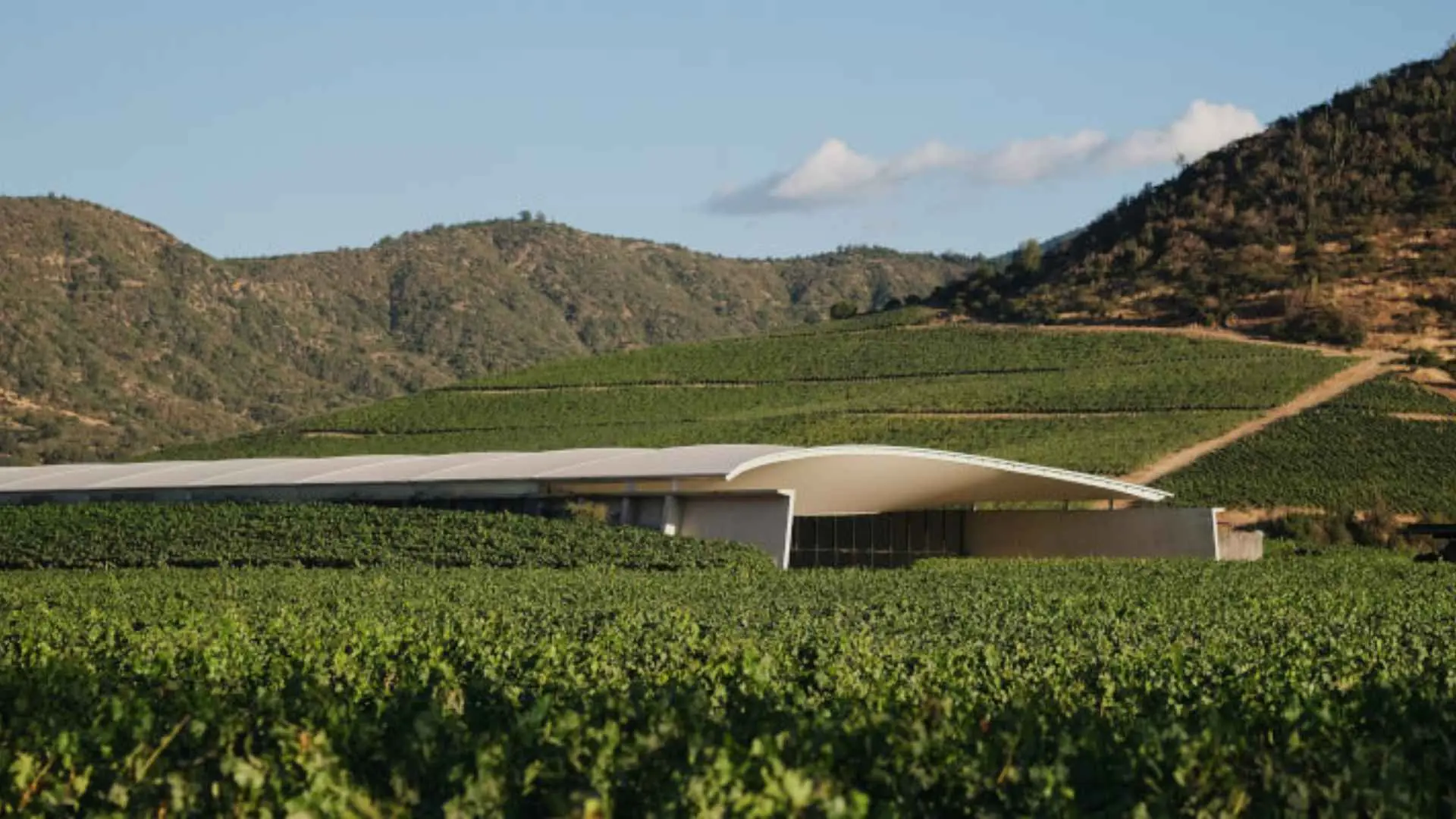 Vik Winery