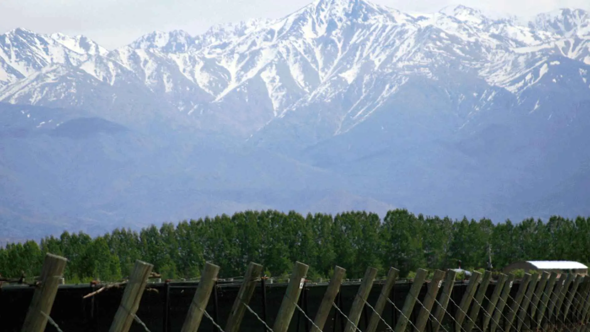 A look at the Andes from the Rj Viñedos winery, situated in the Mendoza region in Argentina.