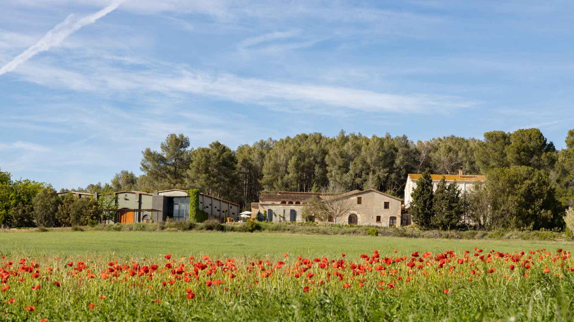 Spain, Catalonia, Vins El Cep Spain, Catalonia, Vins El Cep