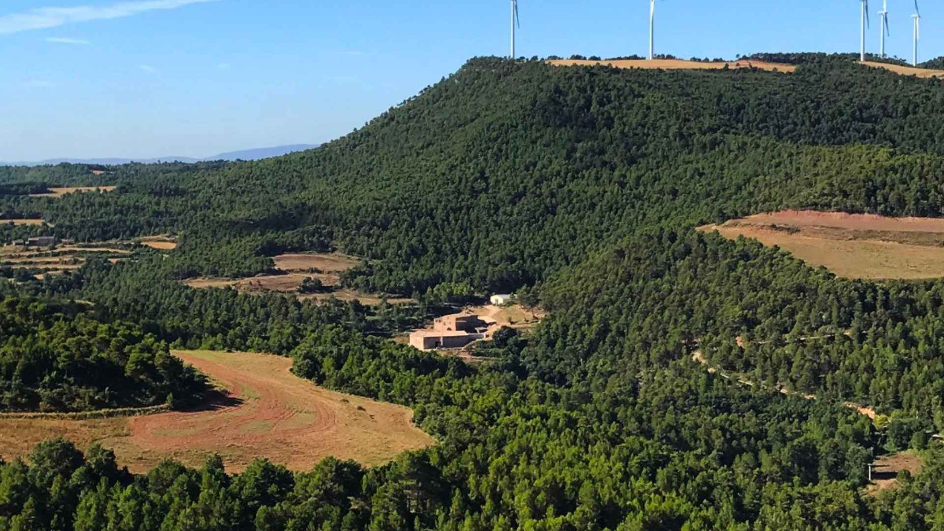 Spain, Catalonia, Entrebosc Spain, Catalonia, Entrebosc