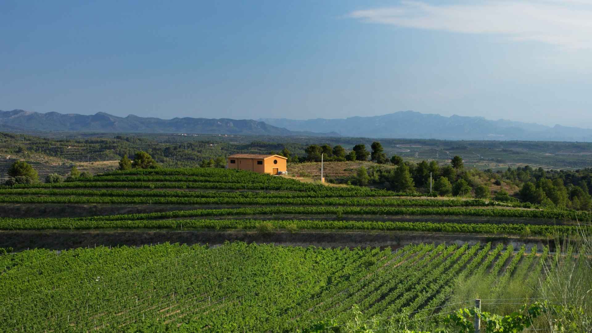 Spain, Catalonia, Clos Galena Spain, Catalonia, Clos Galena