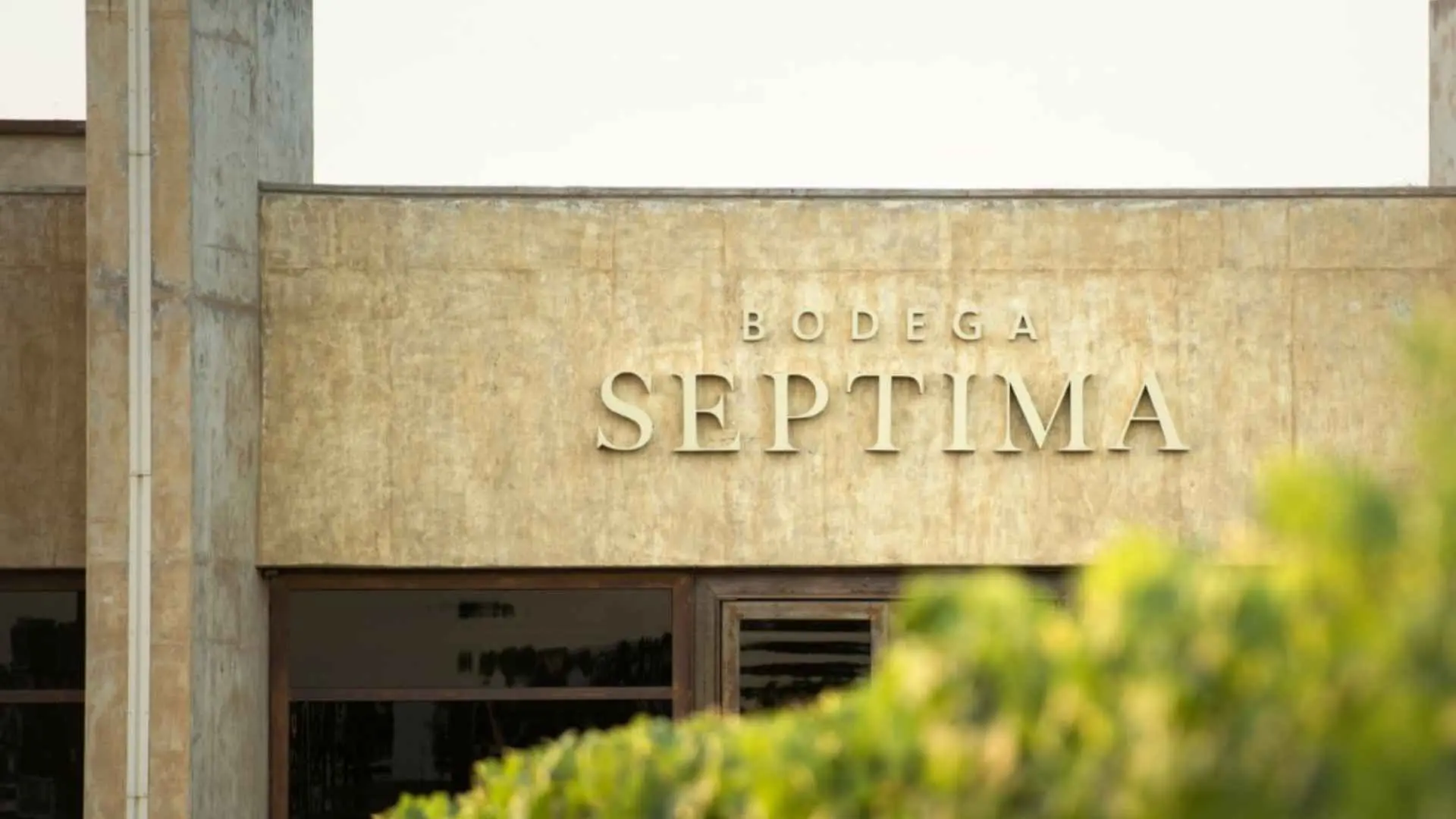  Bodega Septima