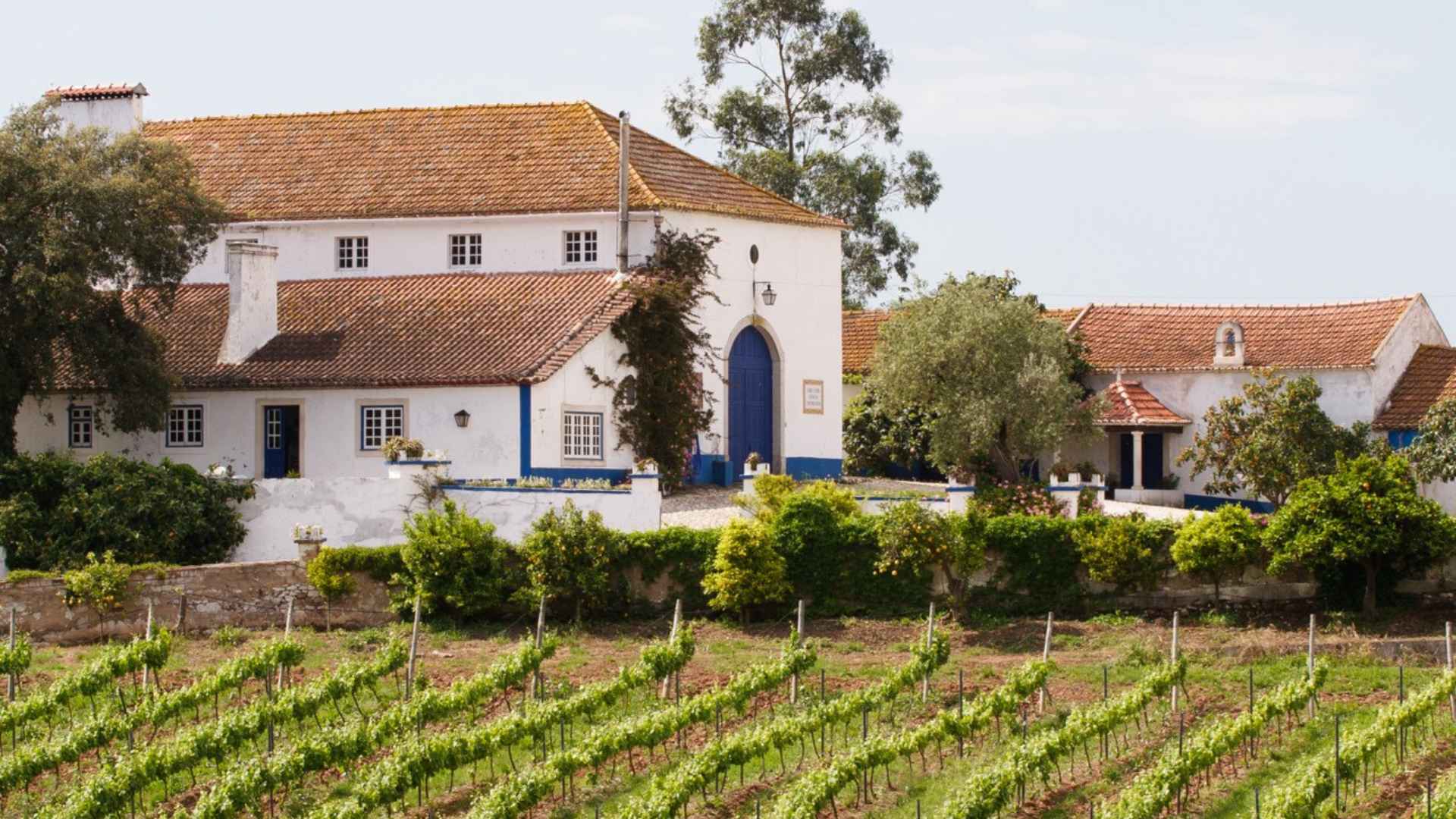 Quinta do Olival da Murta