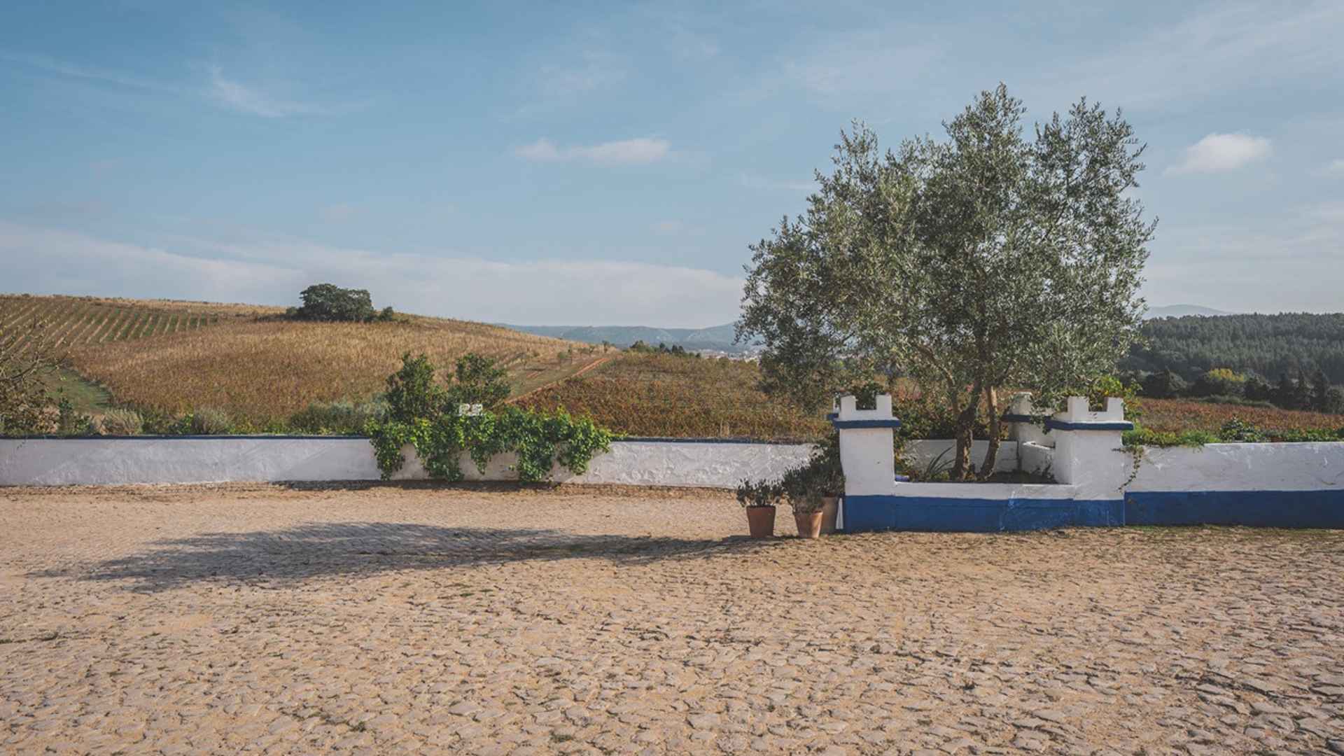 Quinta do Olival da Murta