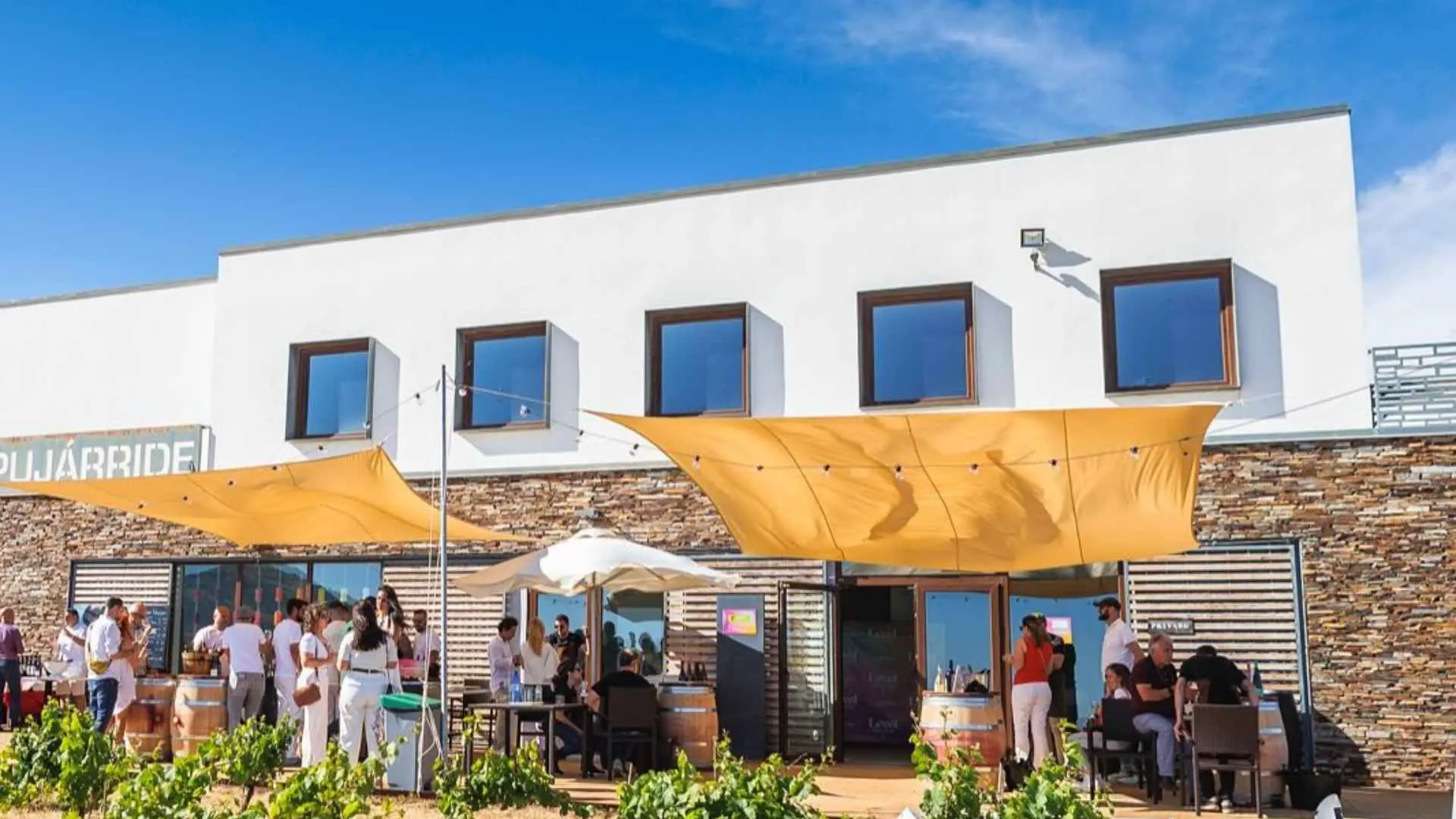 Bodegas La Divisa