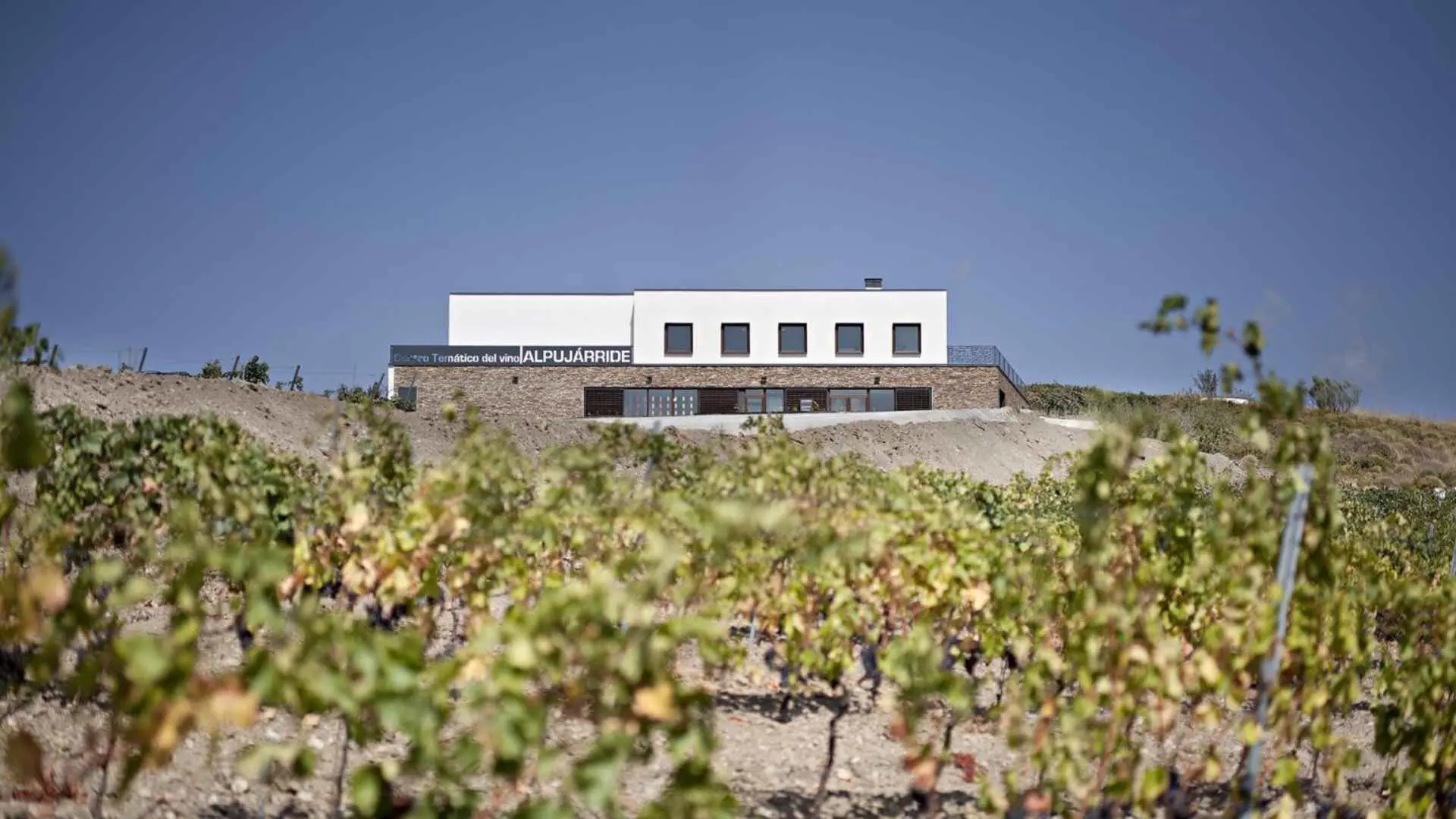 Spain, Andalusia, Bodegas La Divisa Spain, Andalusia, Bodegas La Divisa