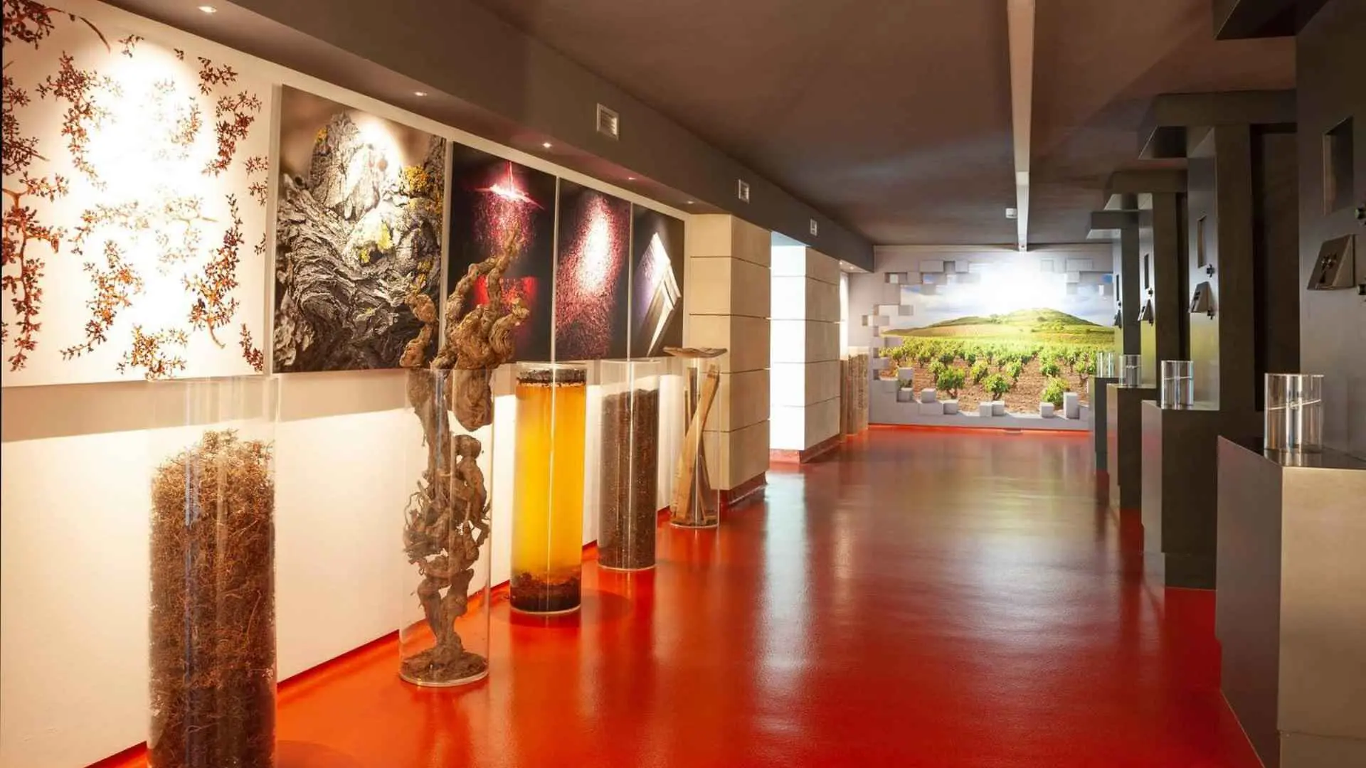 Bodegas Riojanas