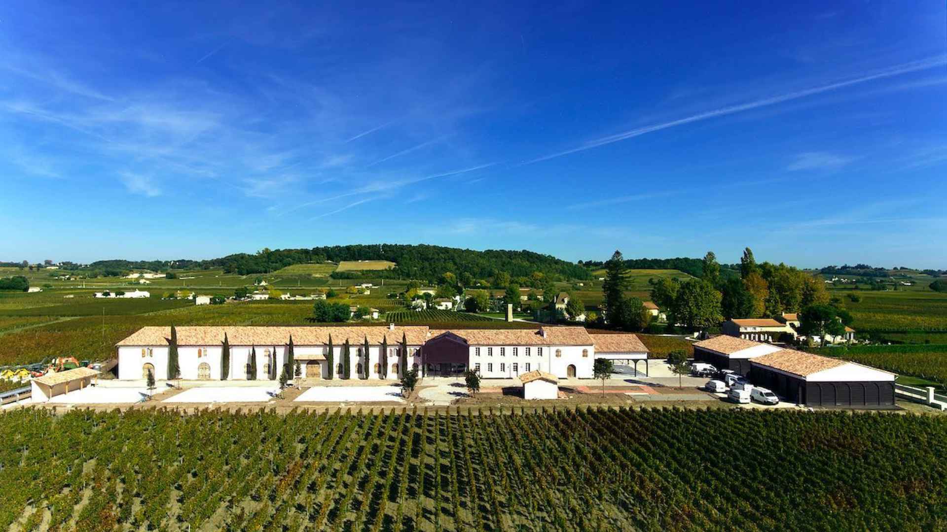 Château Fleur De Lisse vineyard and winery. The vineyard is in front, while the winery building can be seen in the middle, with more vineyards to the side and back. A blue sky can be seen above.