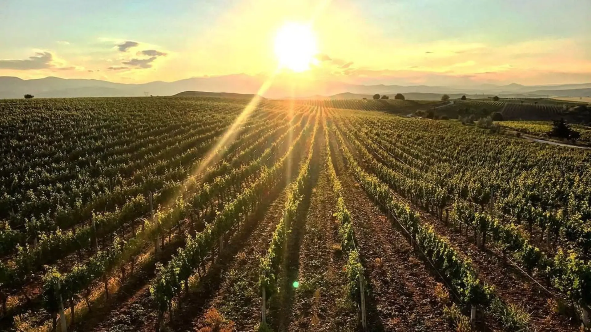 Bovin Winery