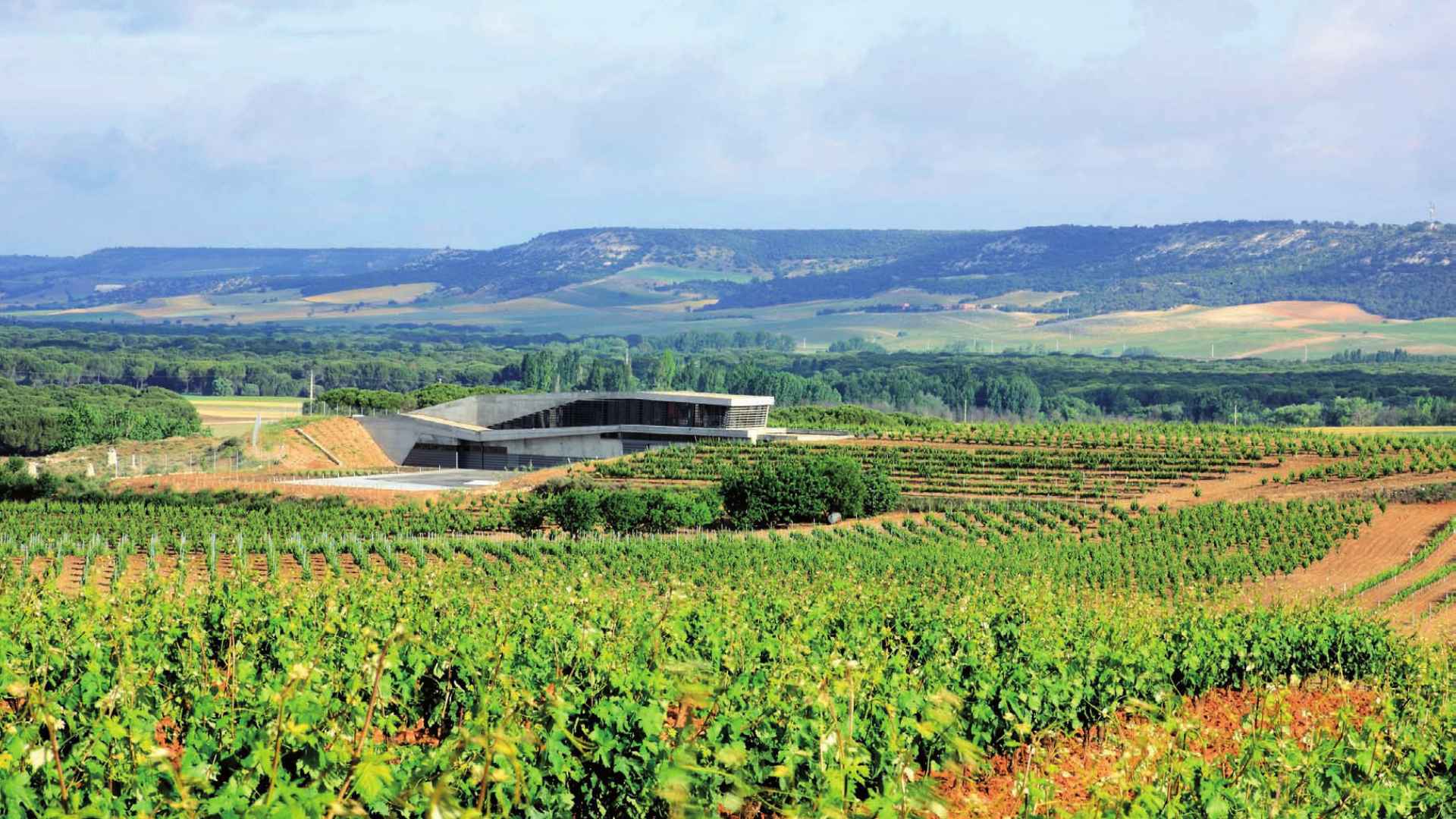 Spain, Castilla and Leon, Bodega Tr3smano Spain, Castilla and Leon, Bodega Tr3smano