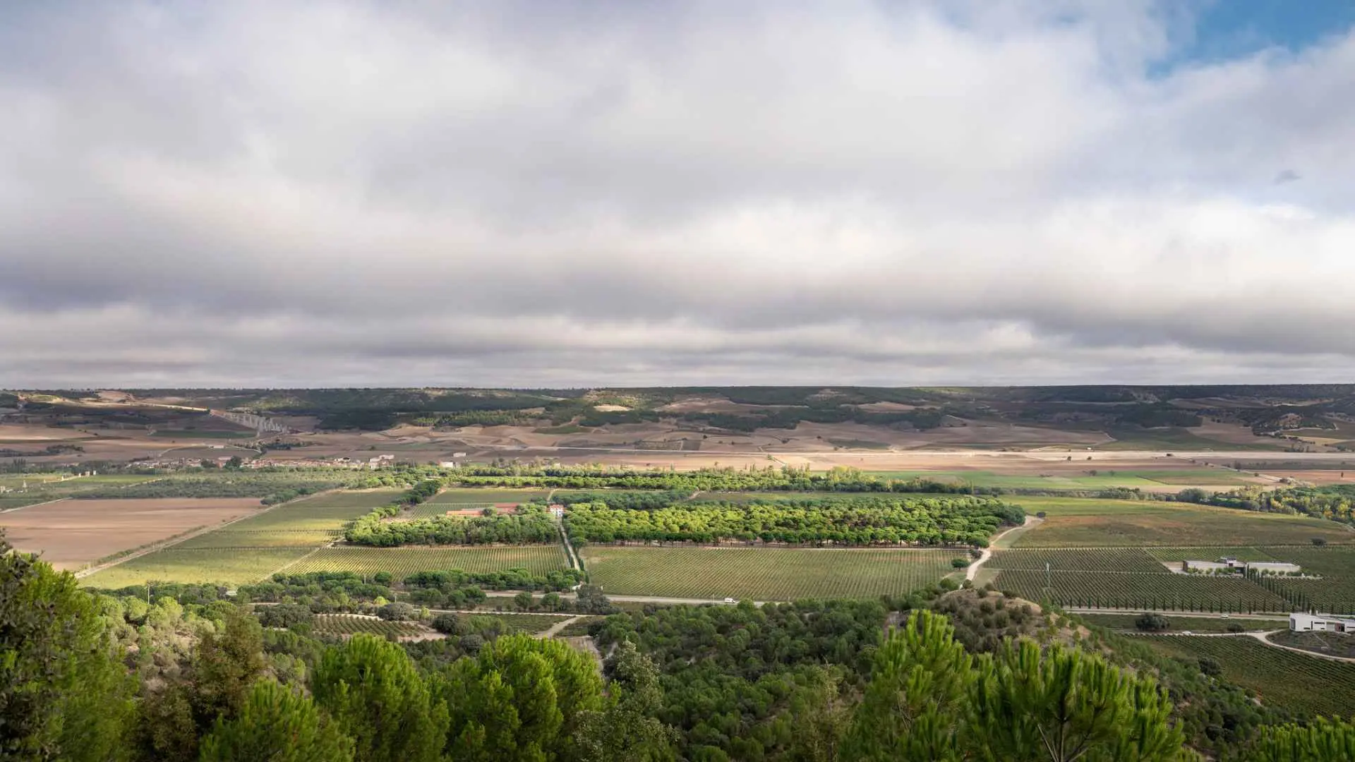 Finca Villacreces