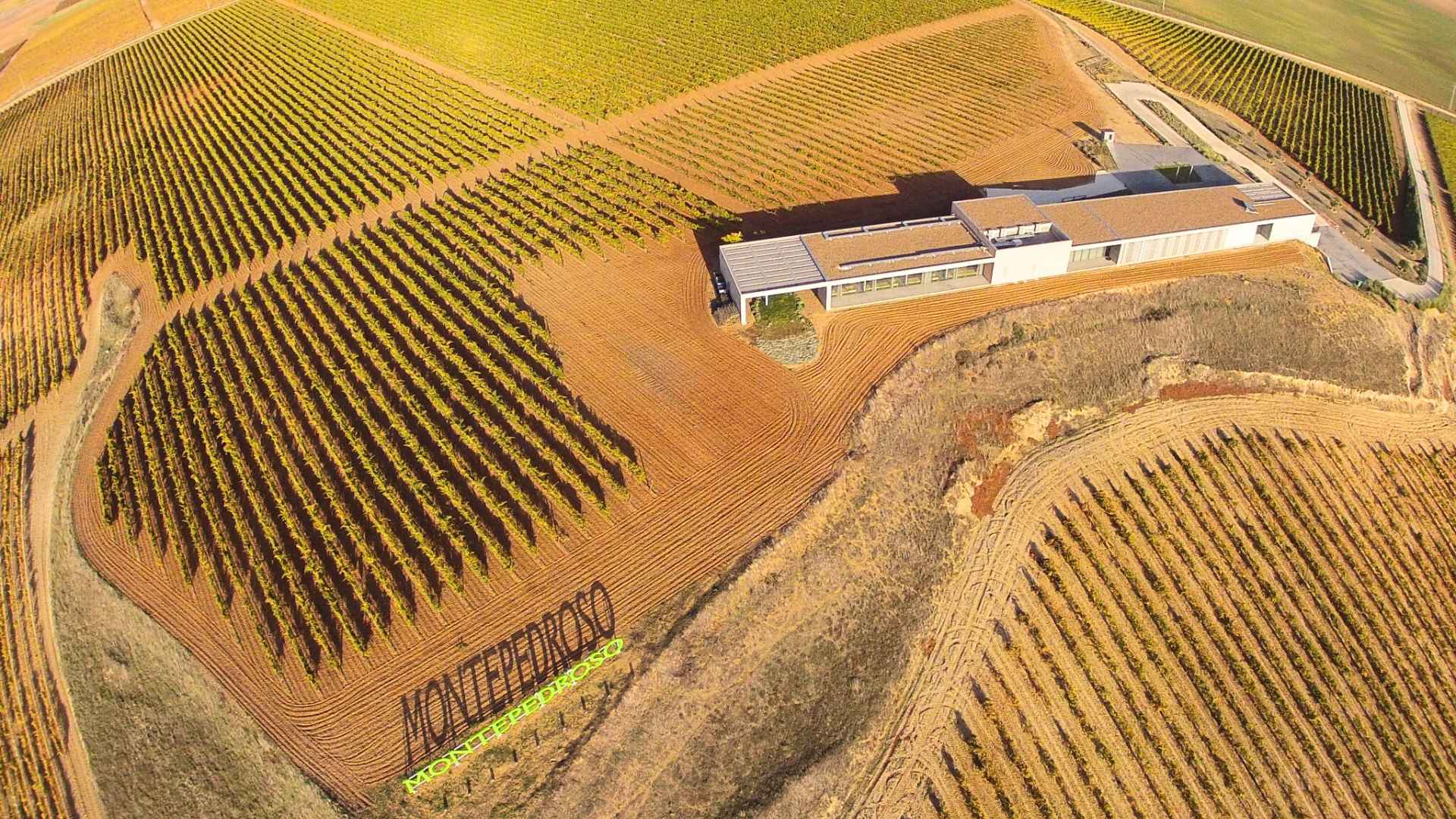 Bodega Finca Montepedroso