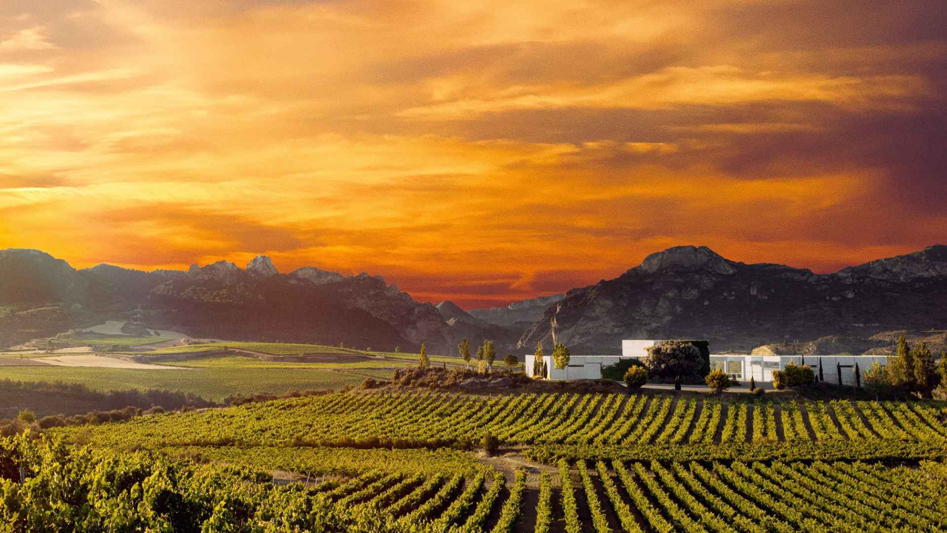 Bodegas TOBELOS