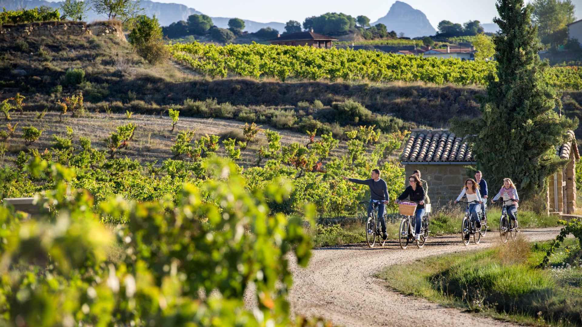 Bodegas Izadi