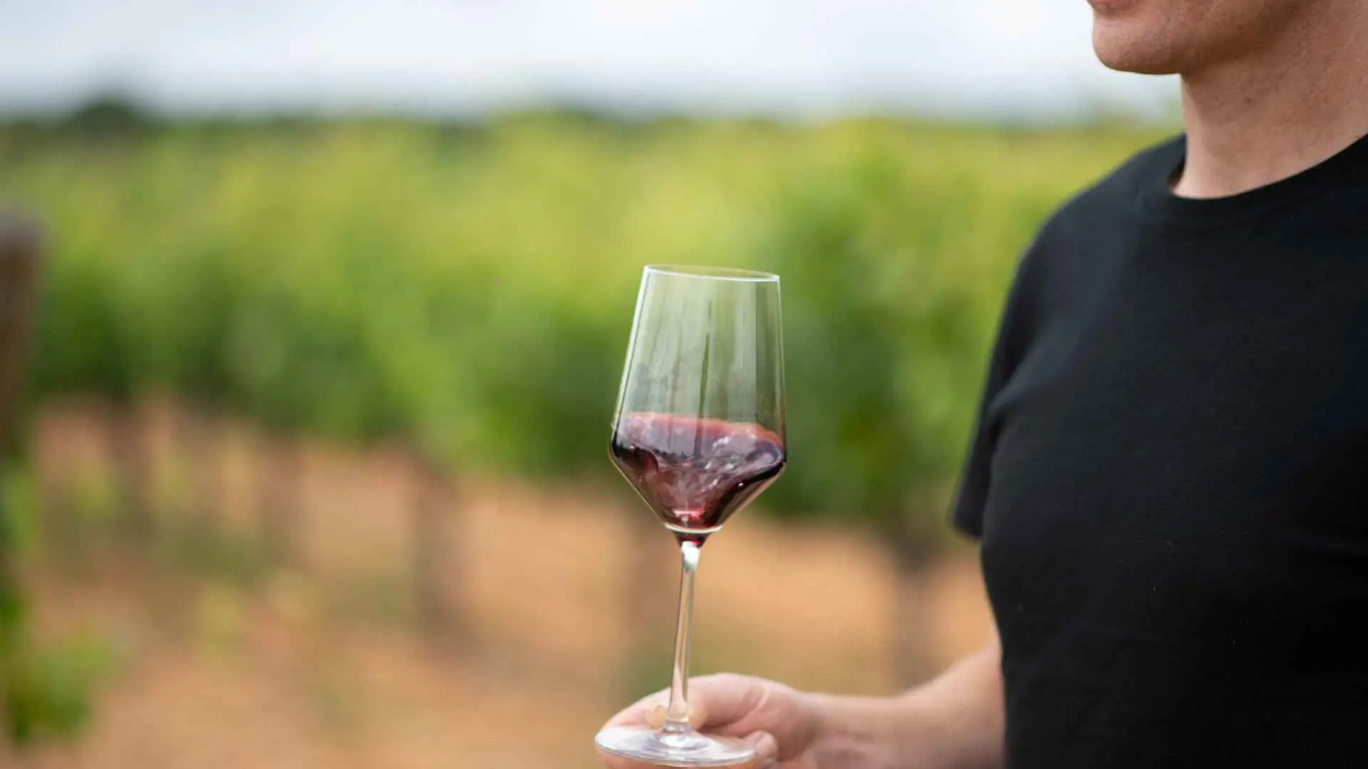 Palacio de Villachica wine tasting in the vineyard. A person can be seen, holding a glass of red wine.