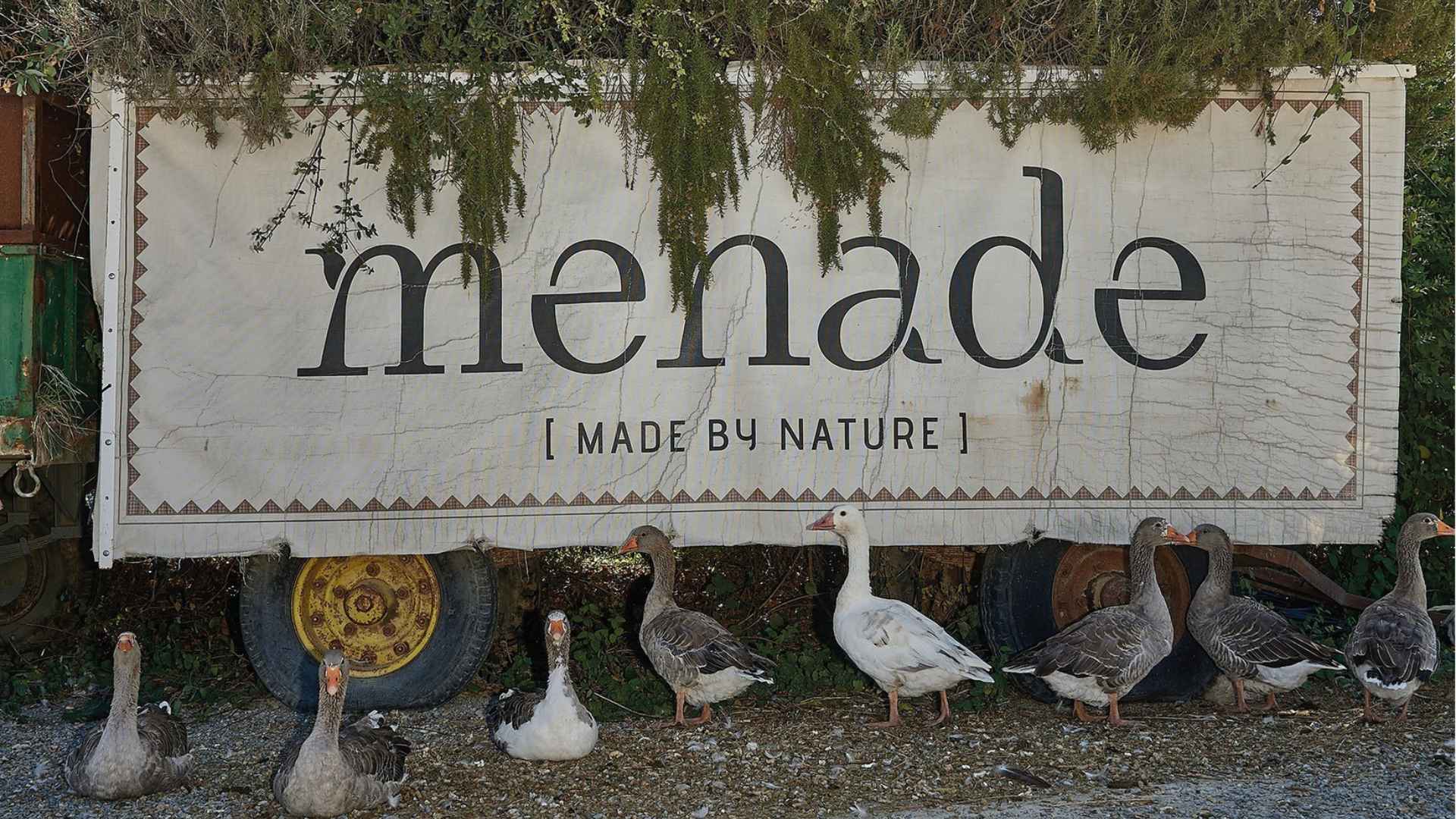Bodegas Menade