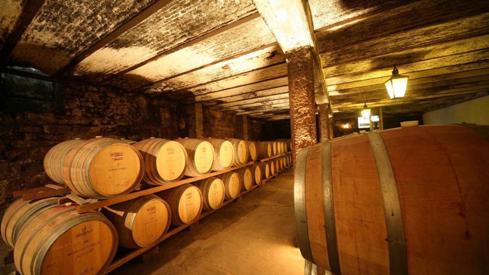  Bodegas Carrau