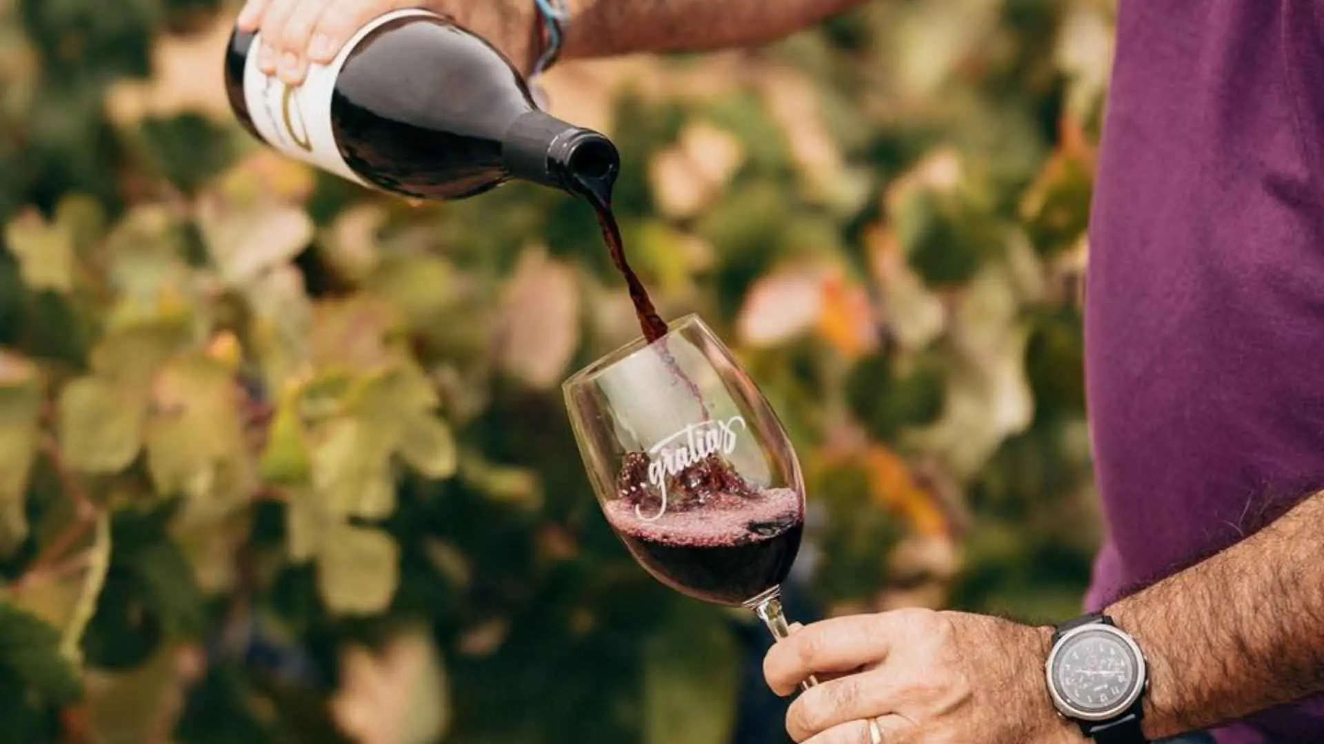 Bodegas Gratias
