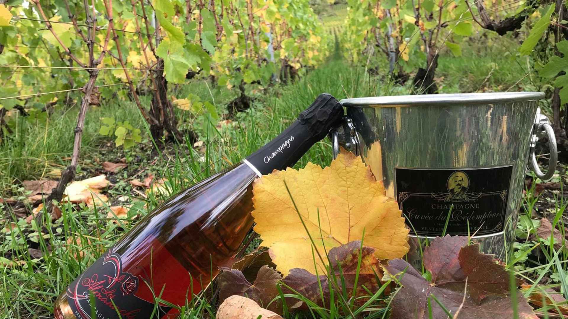 Champagne Rédempteur