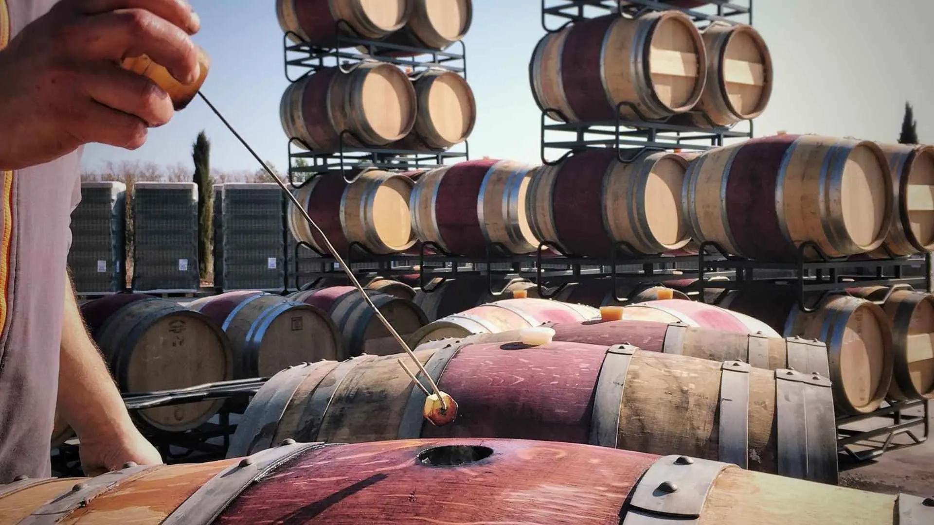 BODEGAS JAVIER SAN PEDRO ORTEGA