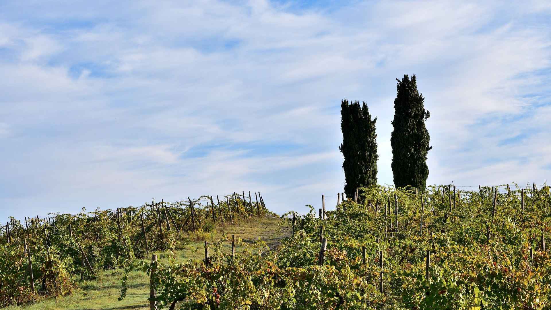 Castello di Selvole