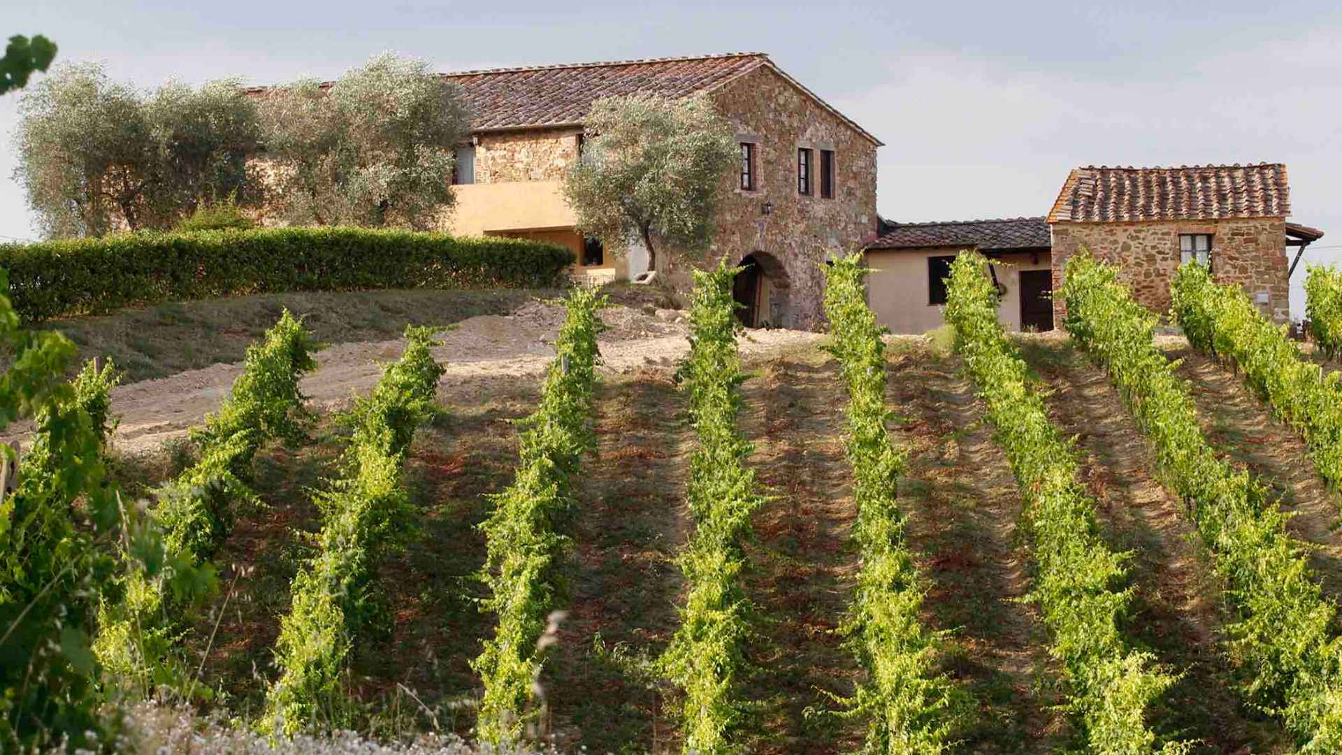 Castello di Selvole