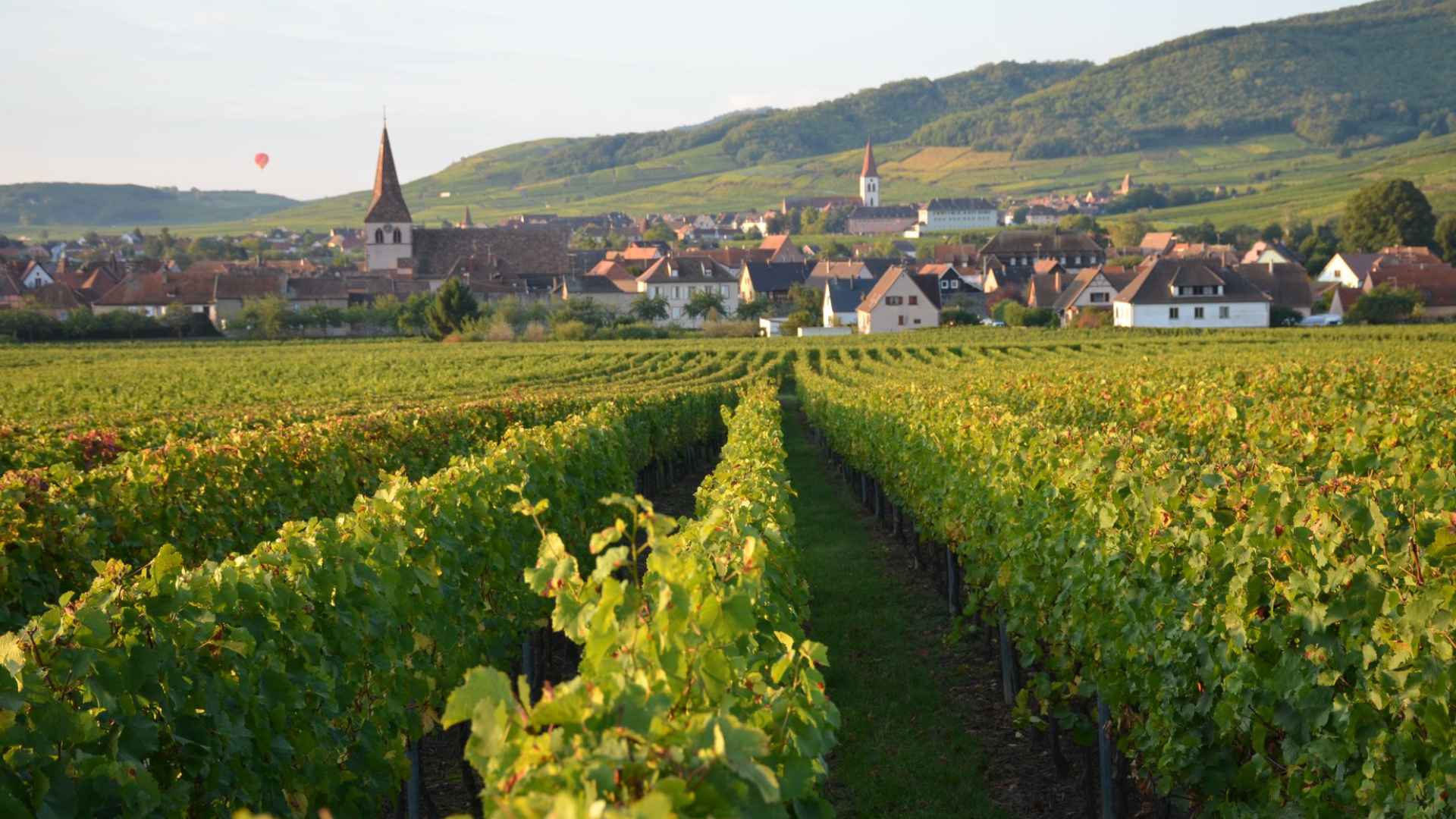 Domaine Pierre Adam