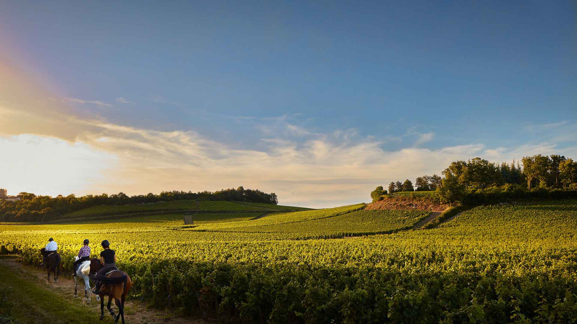 Château de Chamirey