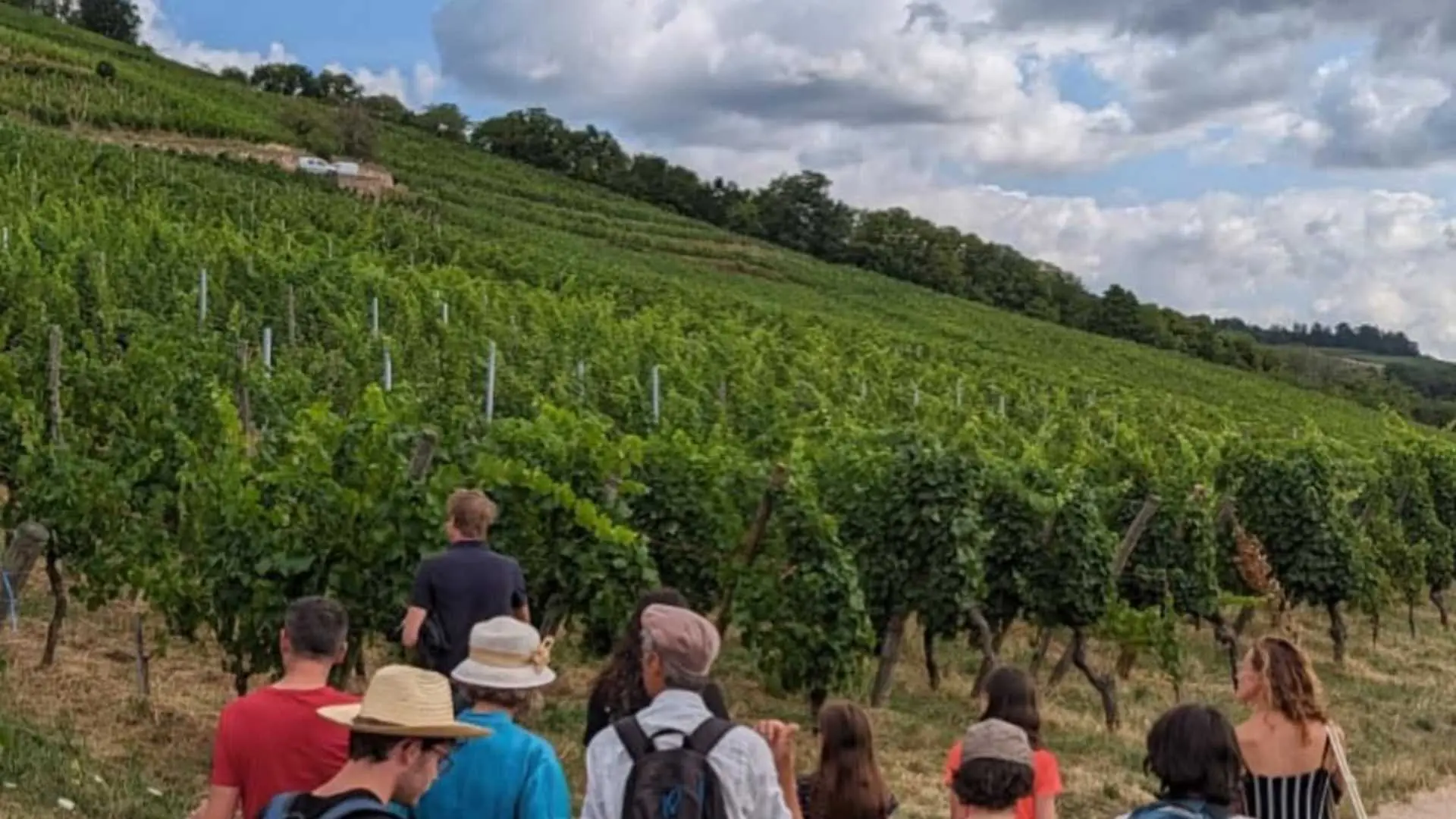 Domaine Schoenheitz