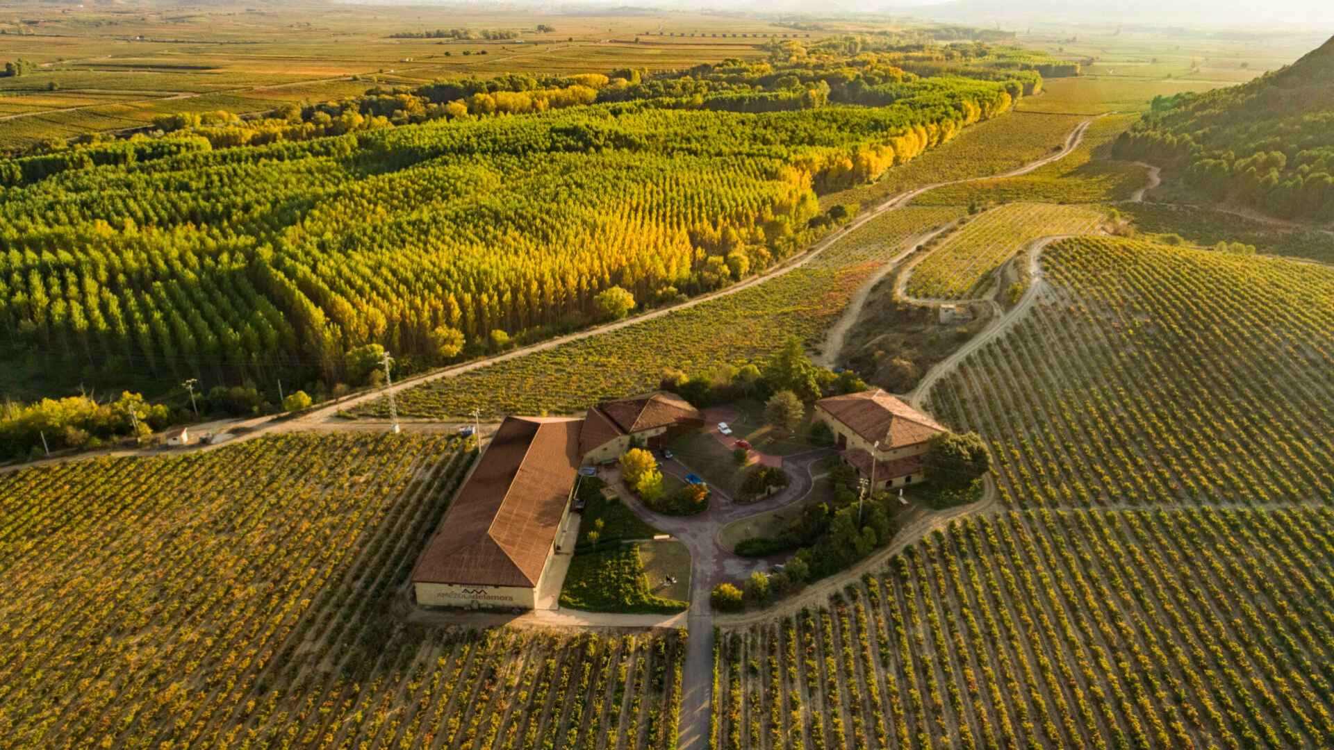 Bodegas Amézola de la Mora Bodegas Amézola de la Mora