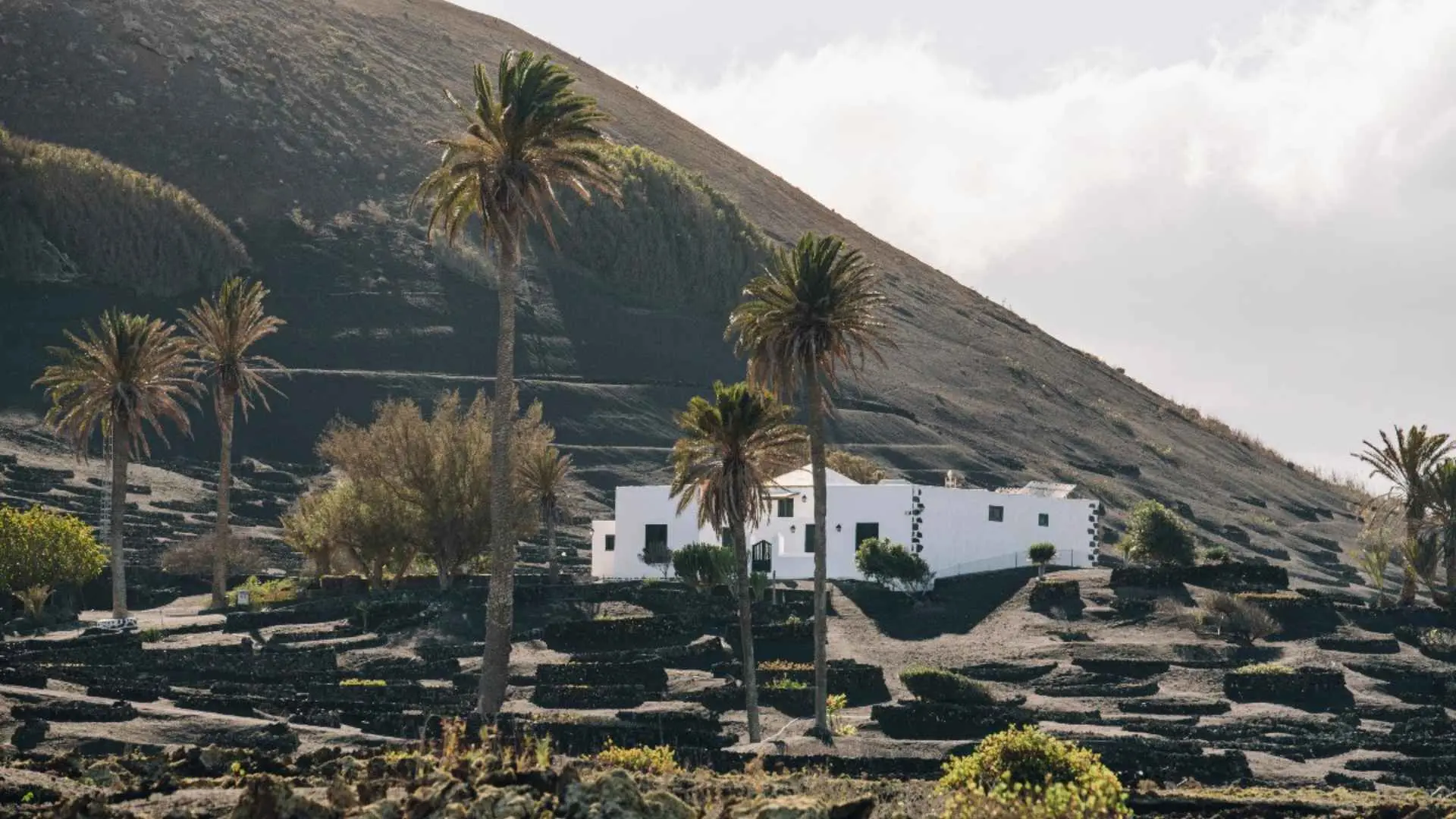 El Grifo